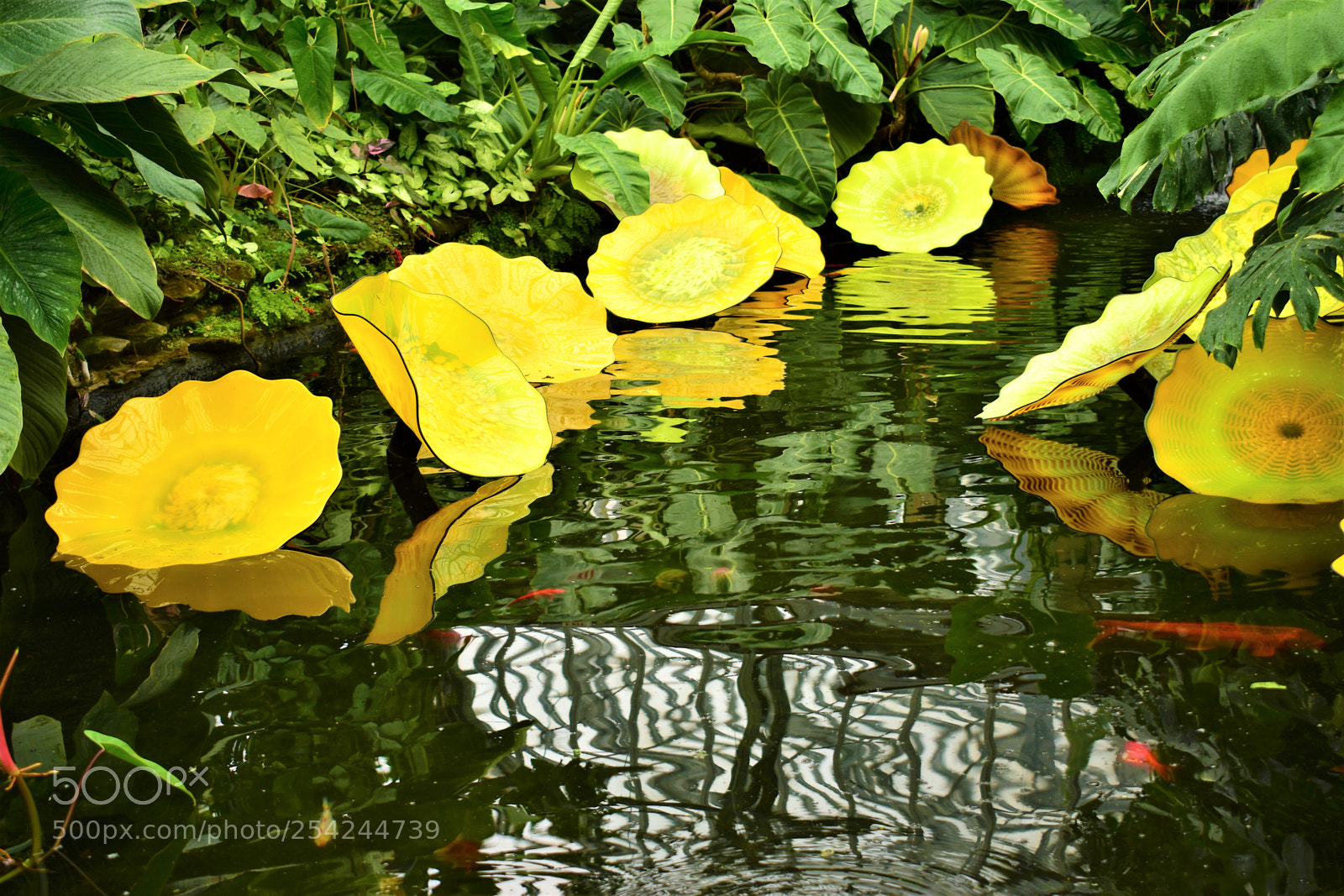 Nikon D5500 sample photo. Garden photography