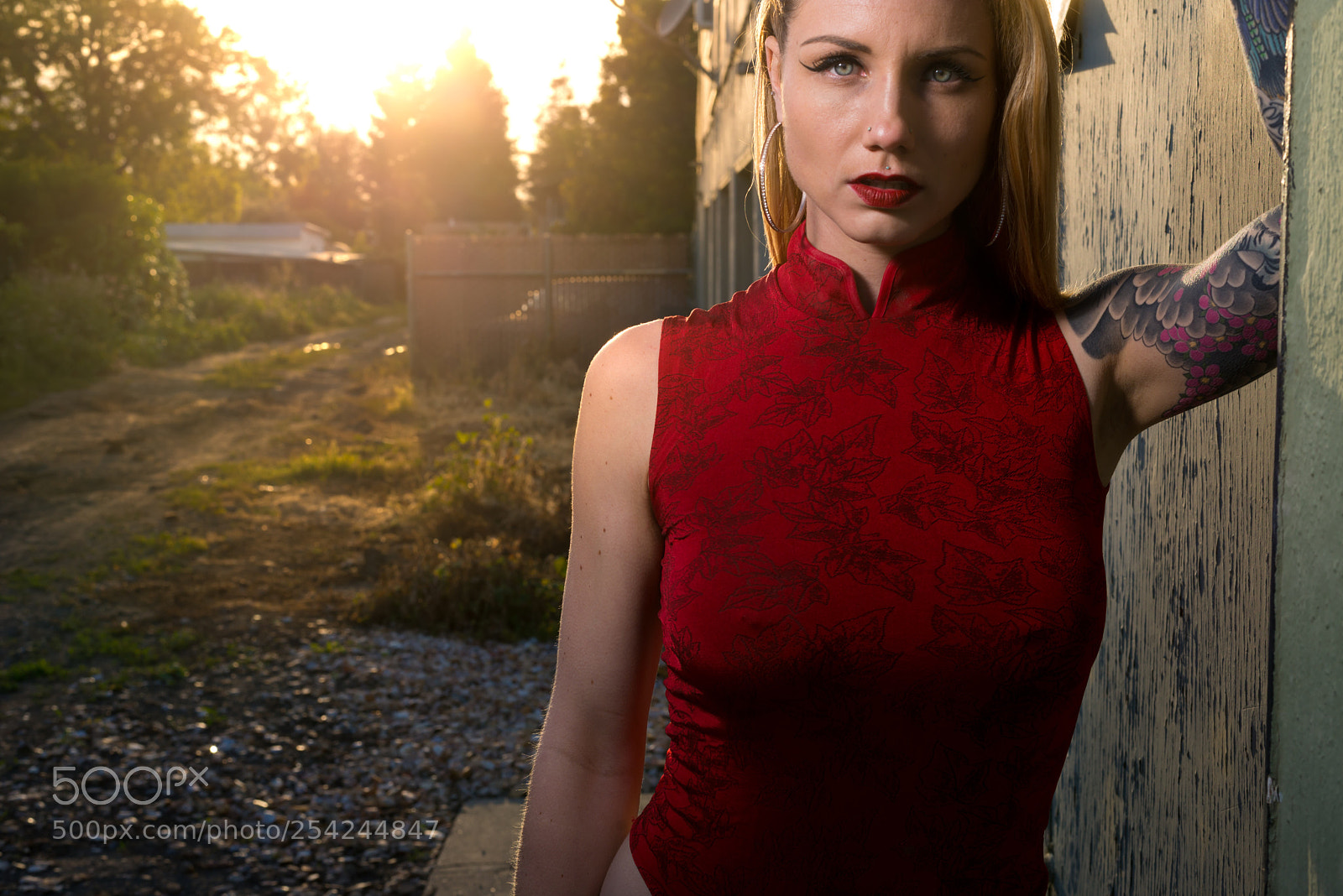 Nikon D610 sample photo. It took awhile to photography