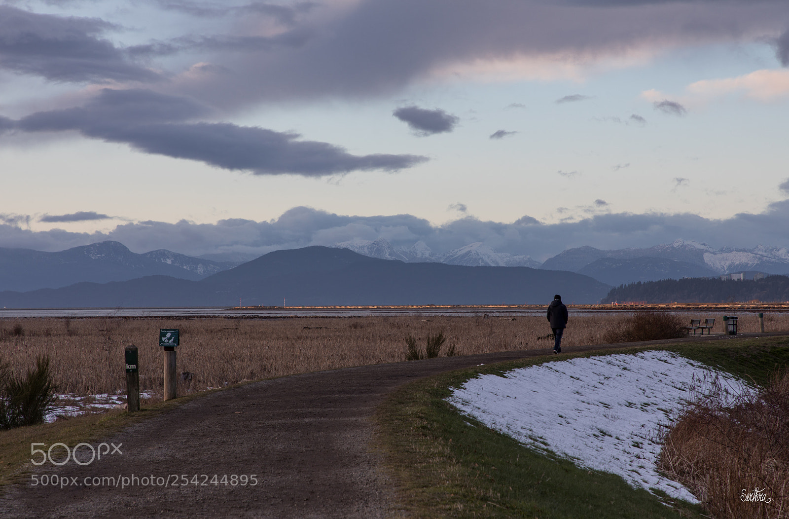 Canon EOS 5D Mark IV sample photo. Winter's walk photography