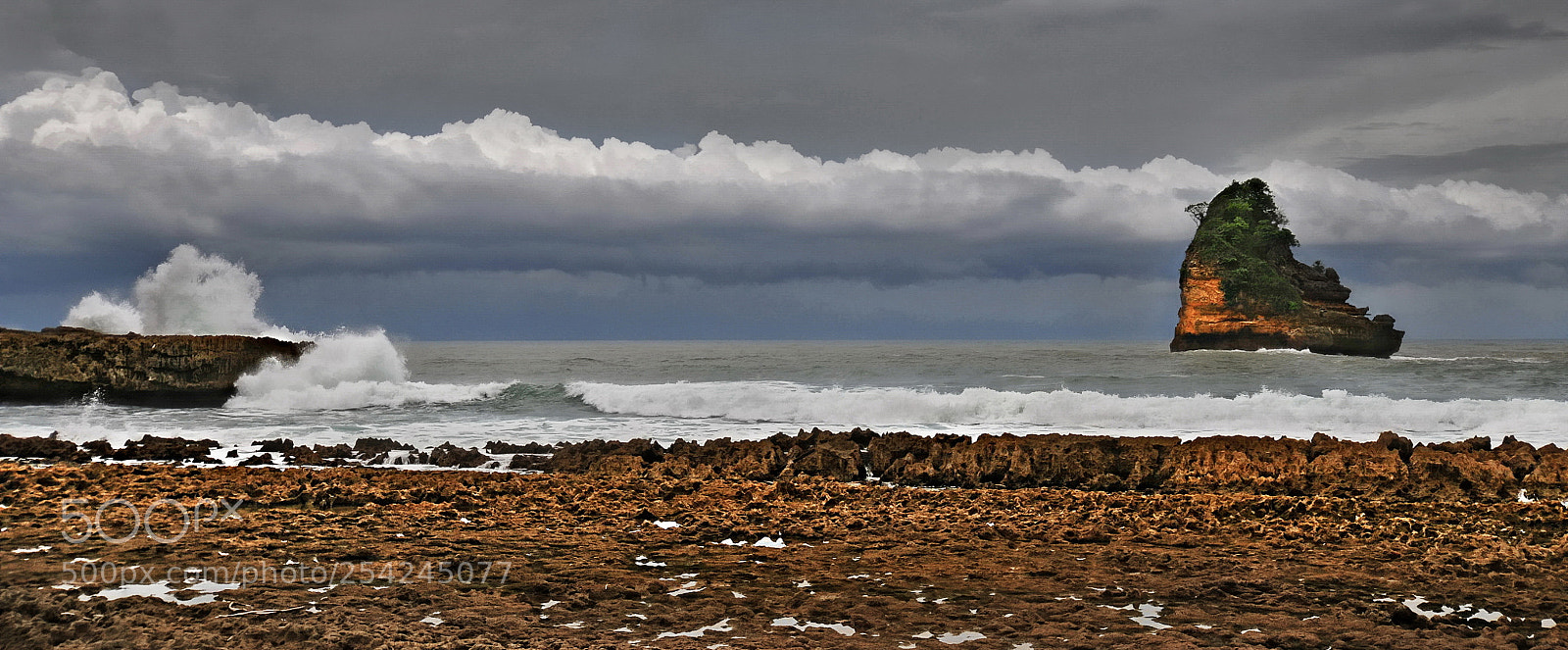 Nikon D300 sample photo. Cloudy no sun photography