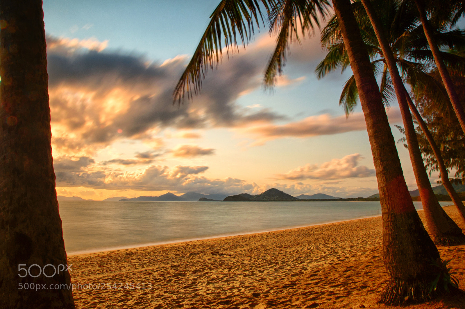 Nikon D4 sample photo. The cove of palms photography