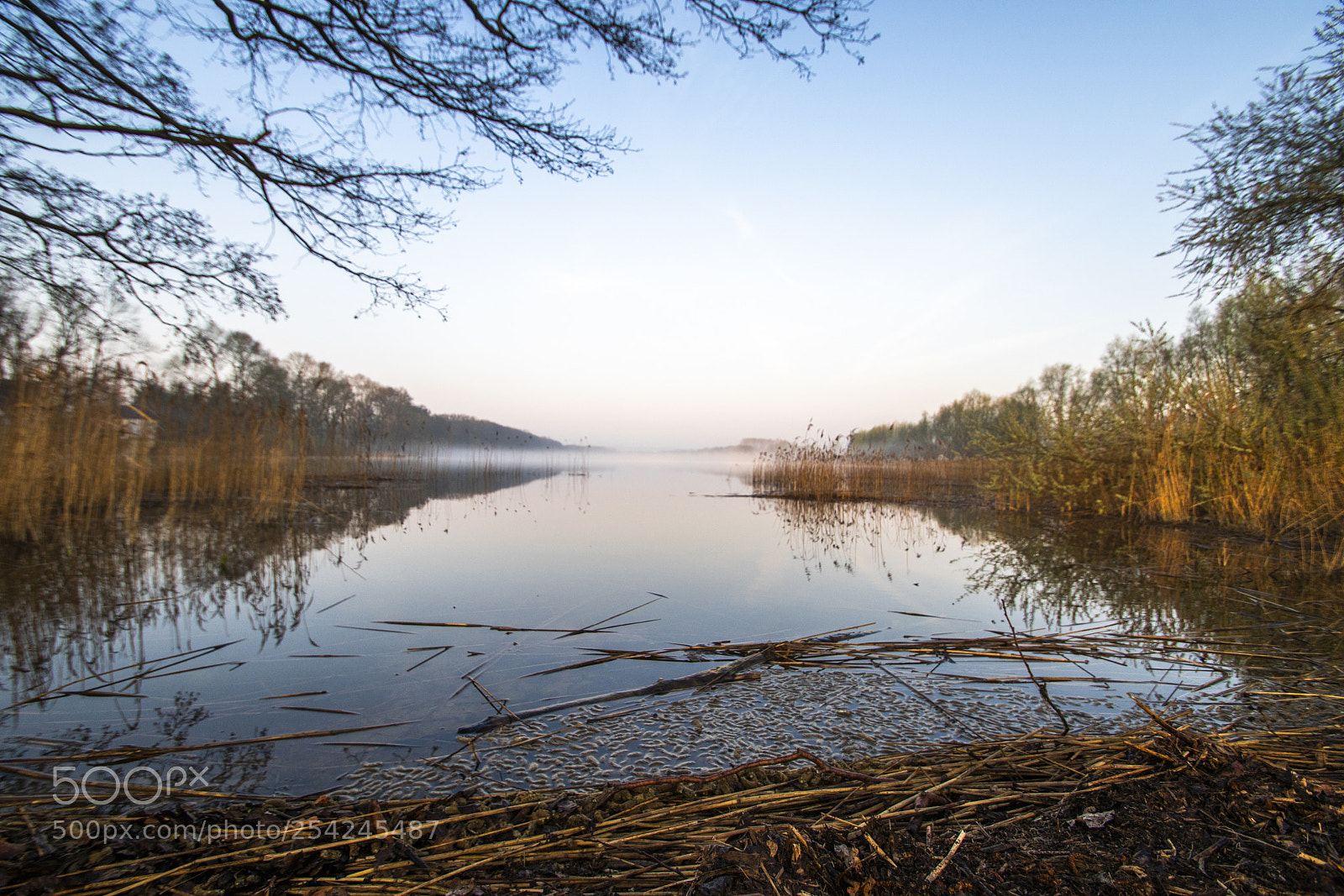 Sony a99 II sample photo. Dsc photography