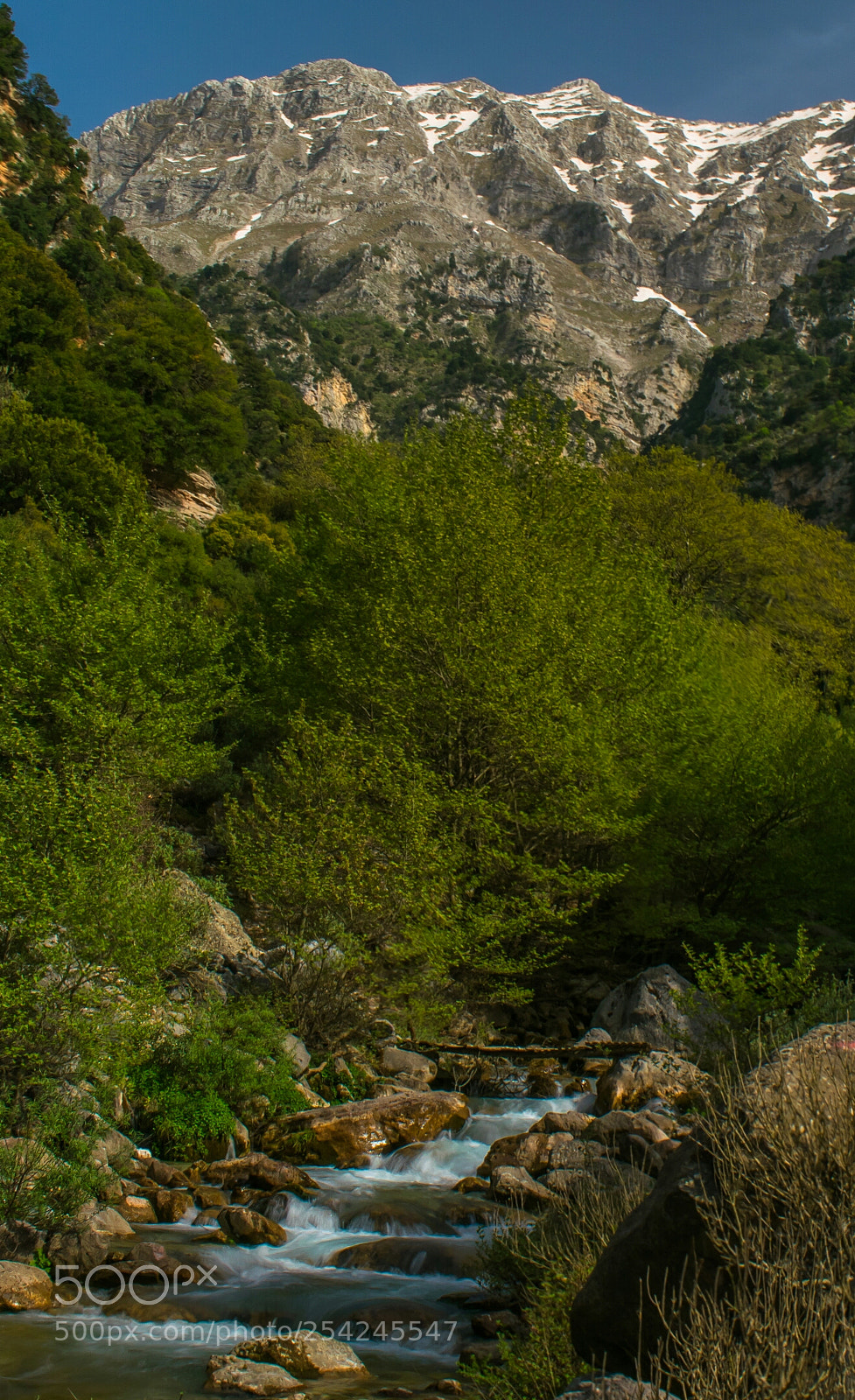 Nikon D3300 sample photo. Heaven photography