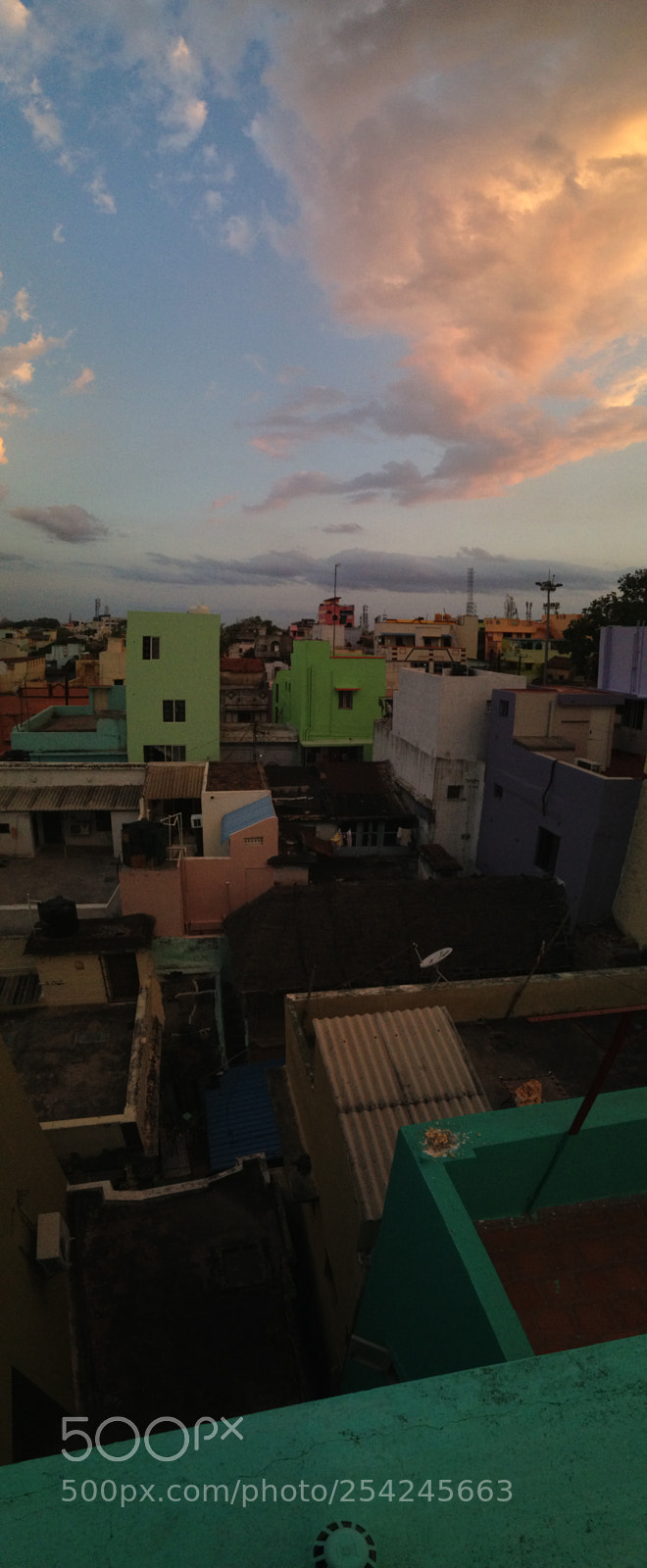 Apple iPhone 5c sample photo. Img photography