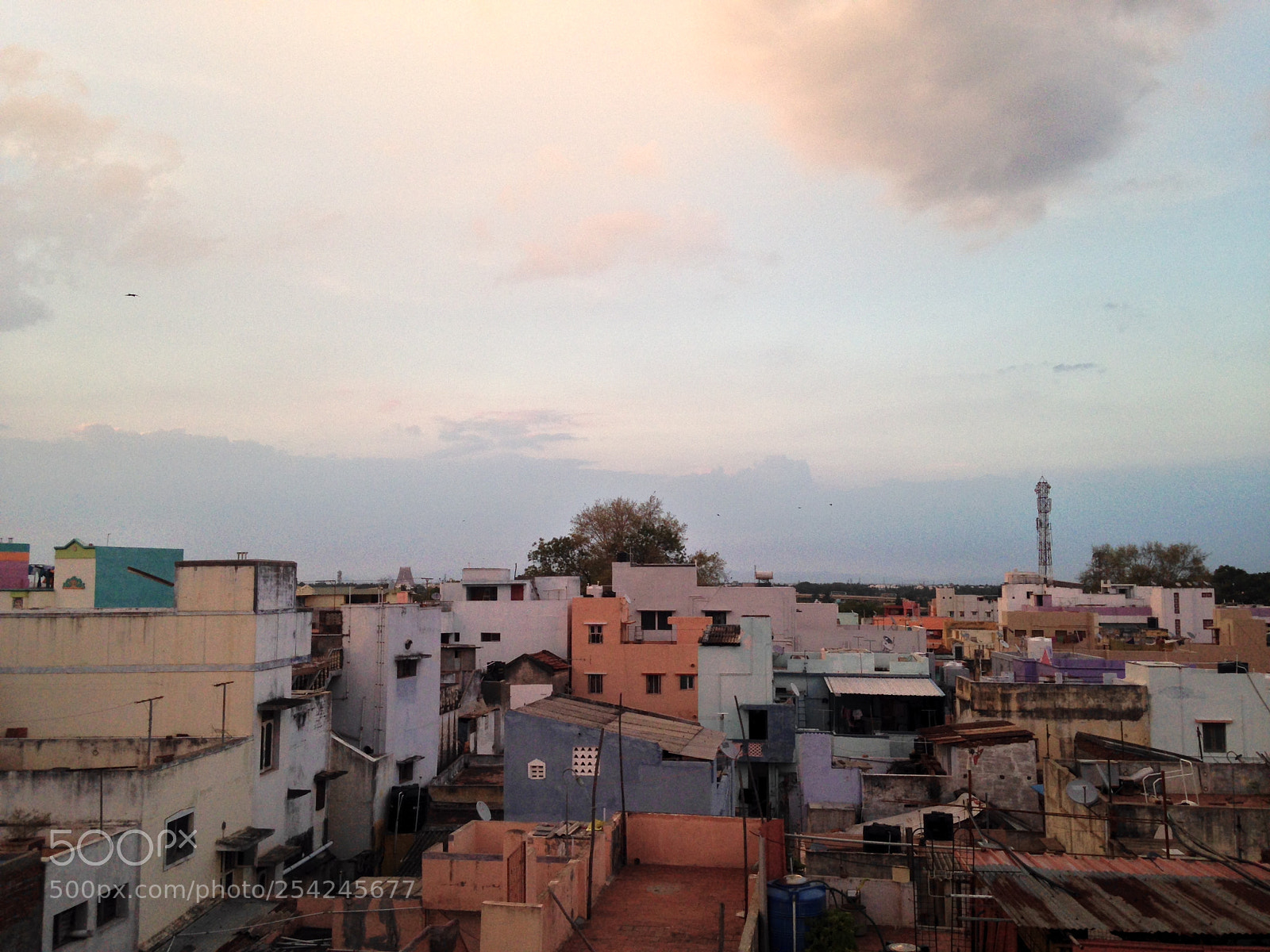 Apple iPhone 5c sample photo. Img photography
