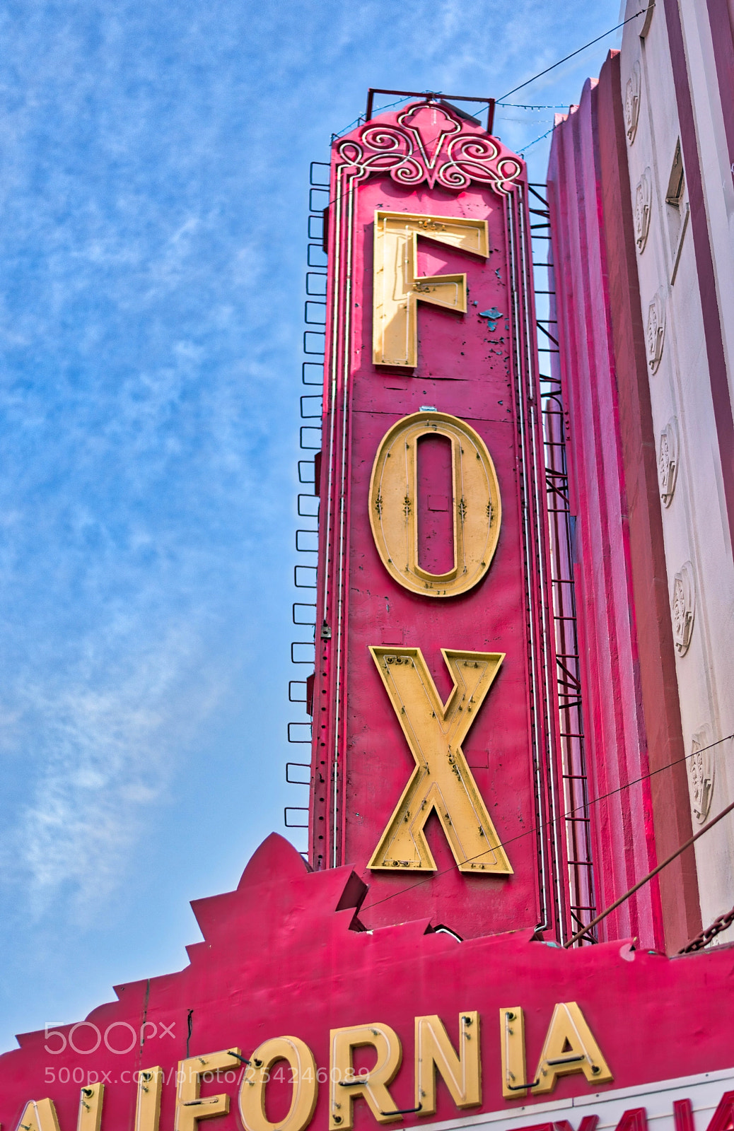 Nikon D810 sample photo. Fox photography