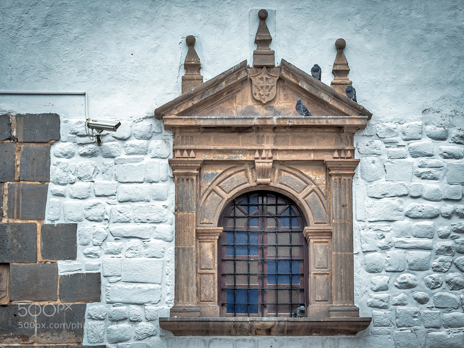 Olympus OM-D E-M5 II sample photo. Window and pigeons photography