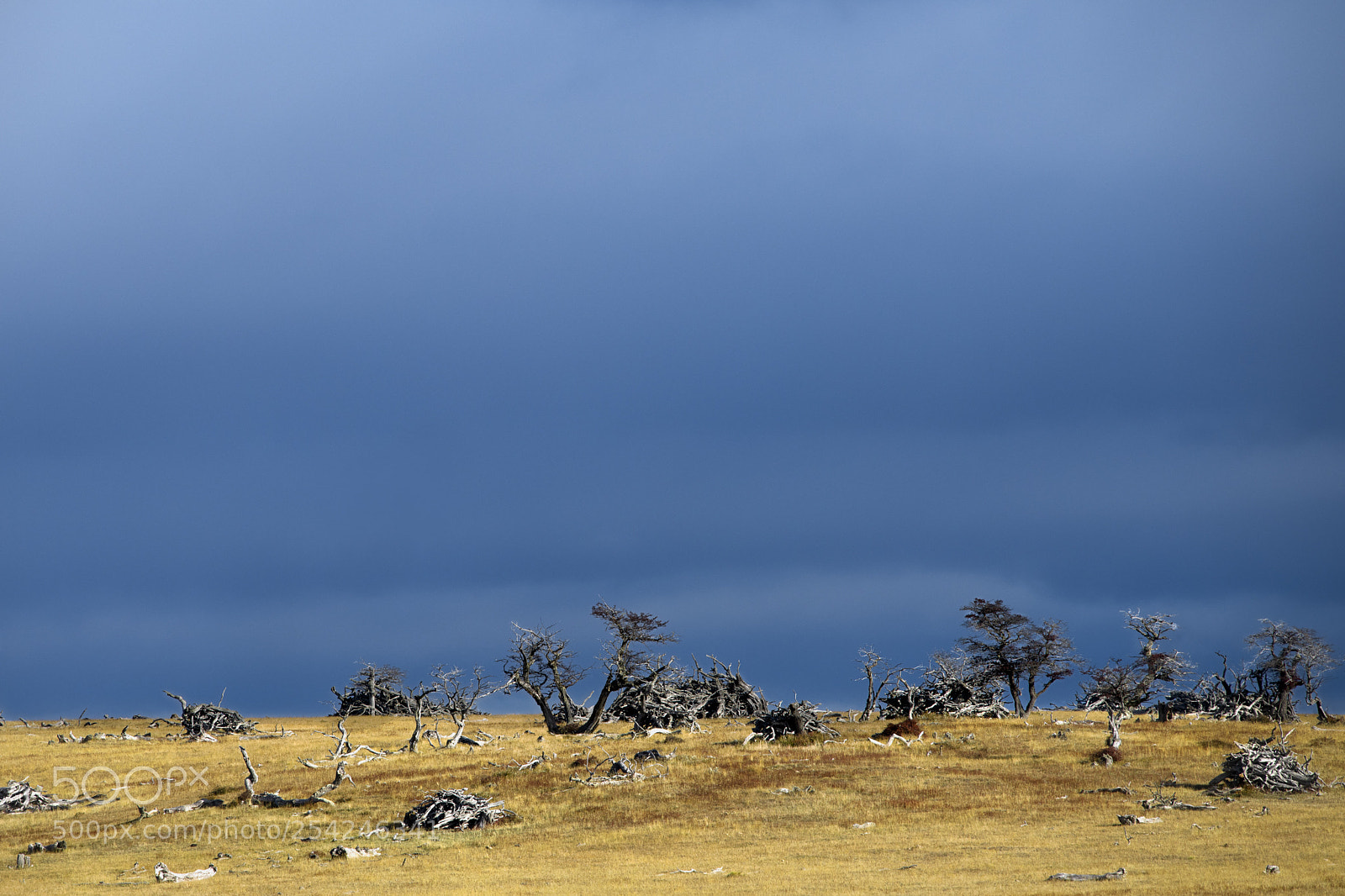 Nikon D850 sample photo. Torres del paine photography