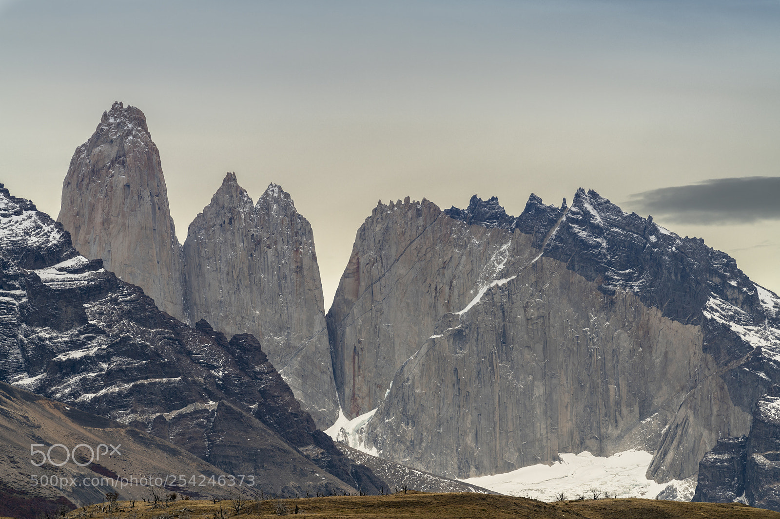 Nikon D850 sample photo. Torres del paine photography