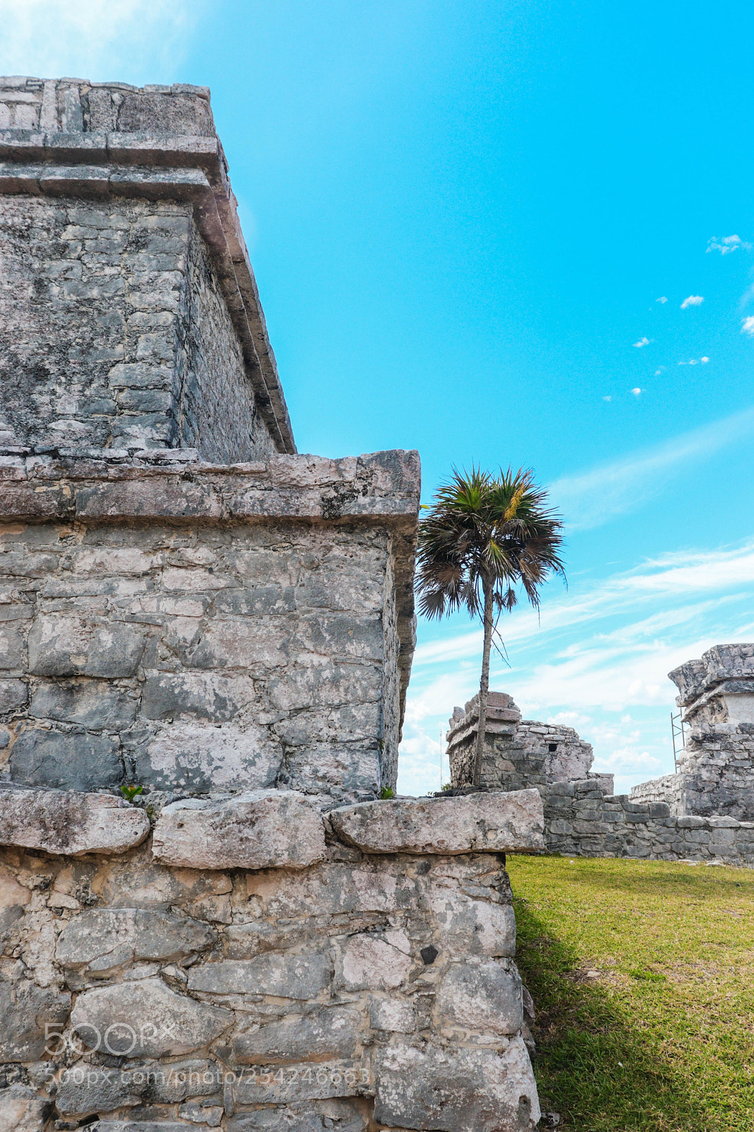 Canon EOS 800D (EOS Rebel T7i / EOS Kiss X9i) sample photo. Tulum photography