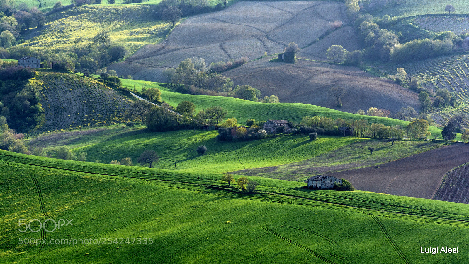 Nikon D7100 sample photo. Marche countryside photography