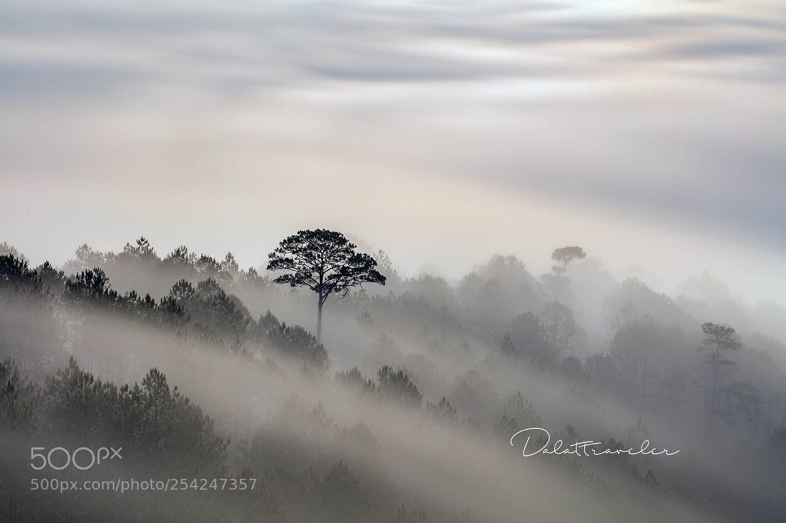 Canon EOS 5DS R sample photo. _b6a9998 1.jpg photography