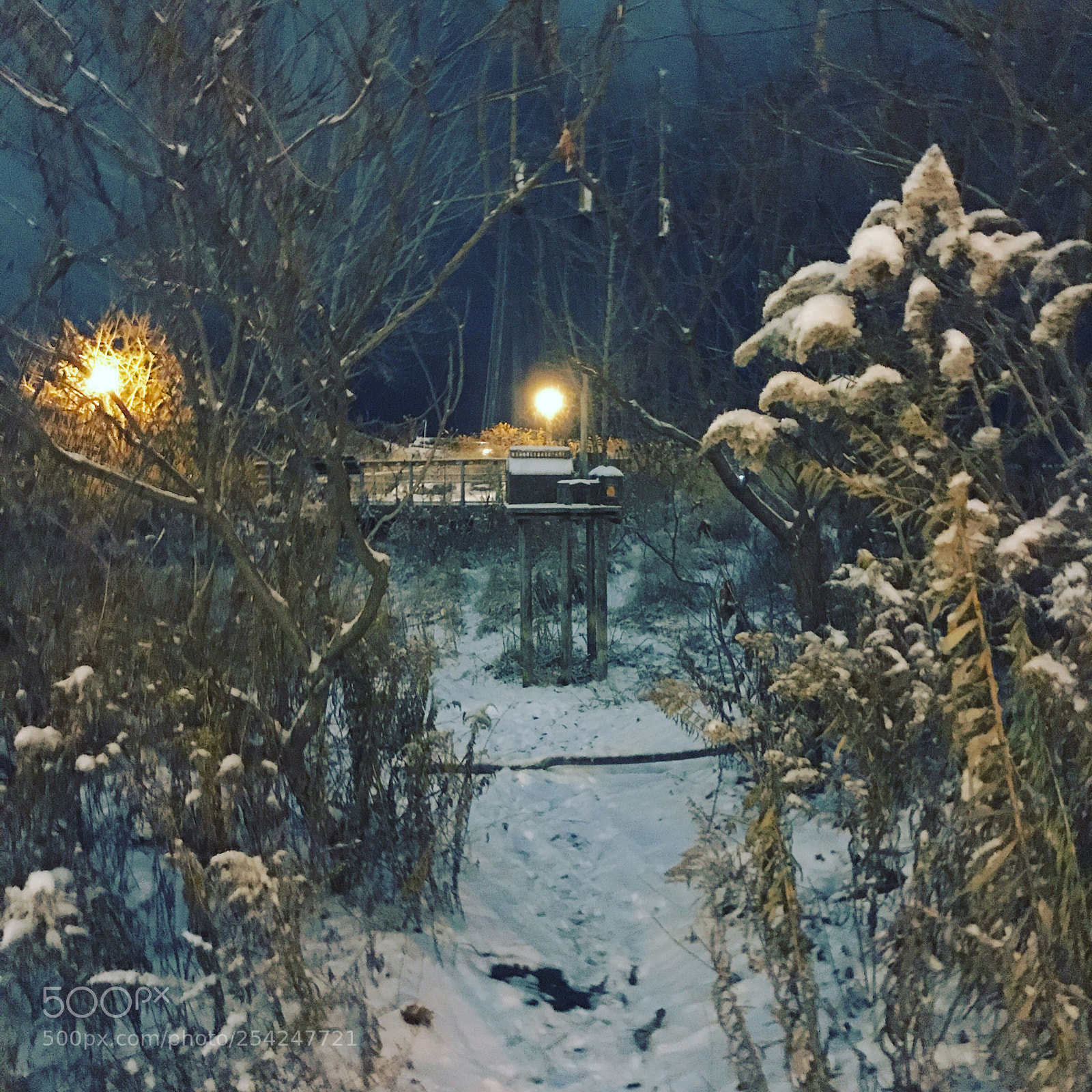 Apple iPhone 7 Plus sample photo. Cabin in the woods  photography