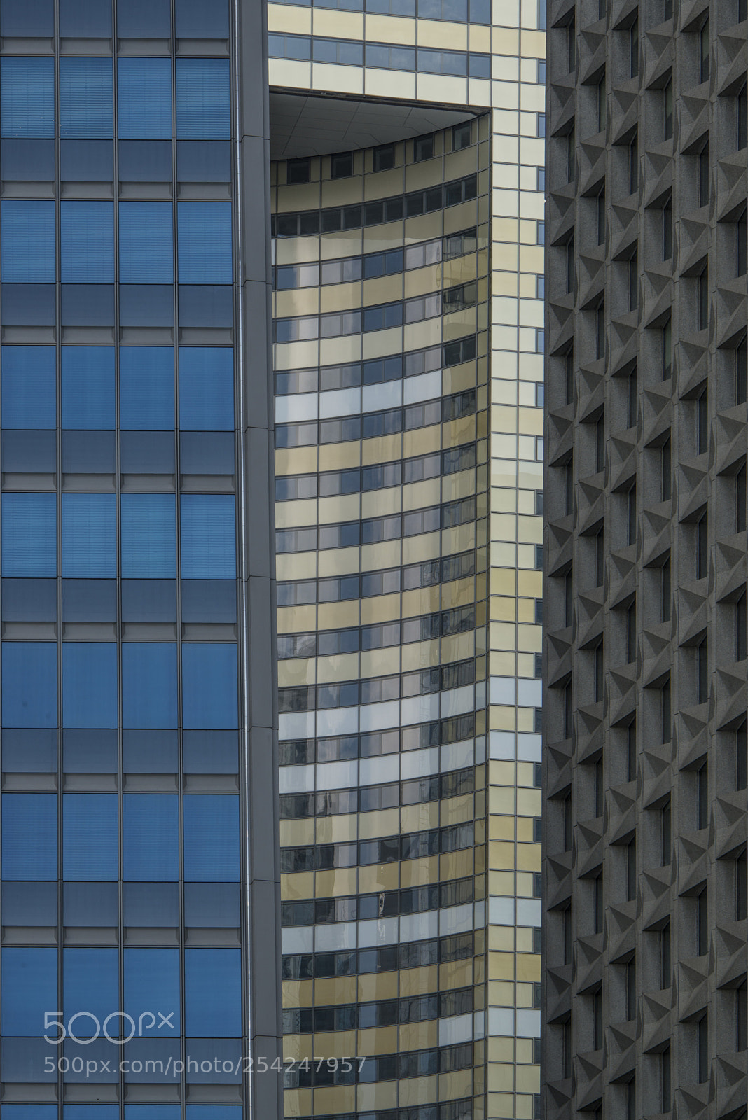 Nikon D800 sample photo. Straight or not photography