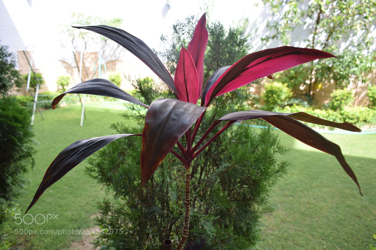 Nikon D3300 sample photo. Untitled photography
