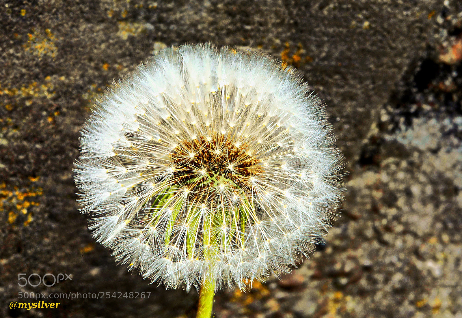 Nikon D7100 sample photo. Its time to fly... photography