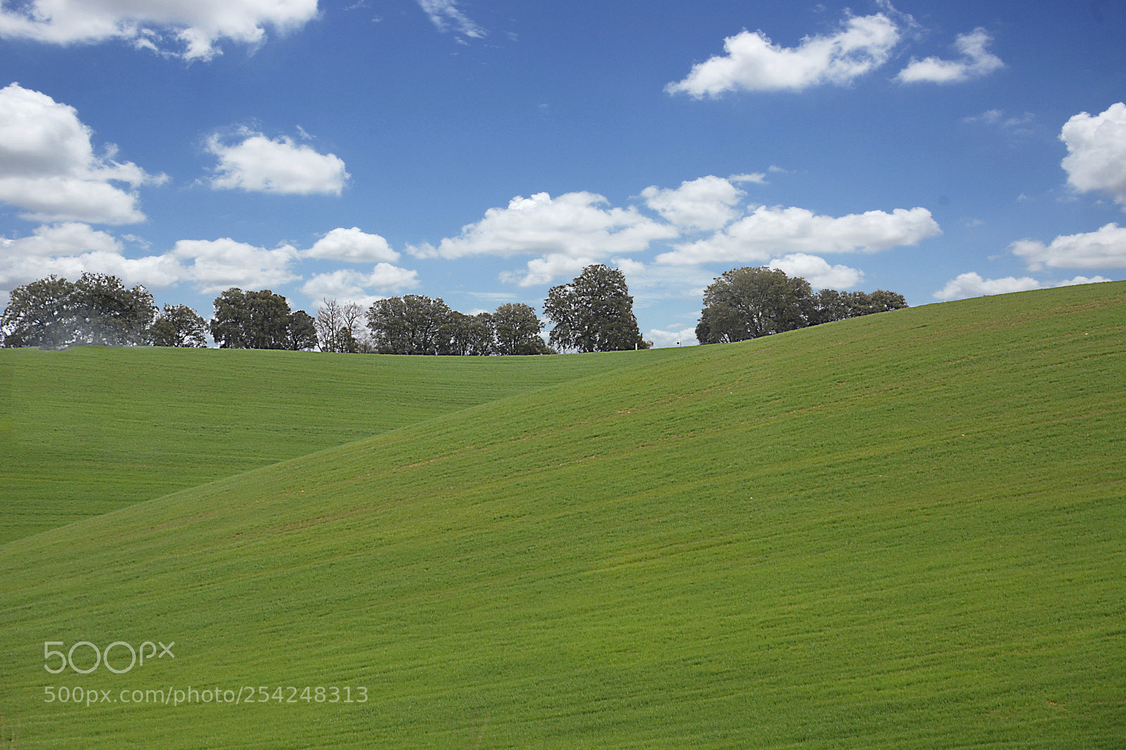 Nikon D5200 sample photo. En verde y azul photography