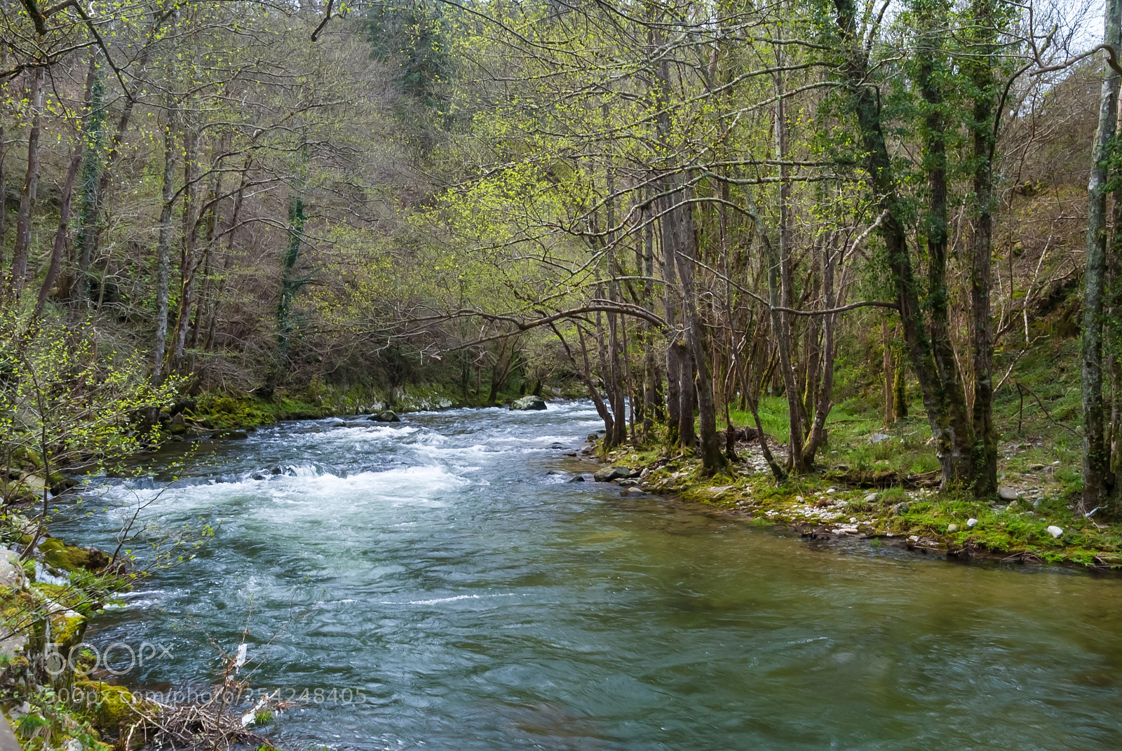 Nikon D3000 sample photo. Rio esva photography