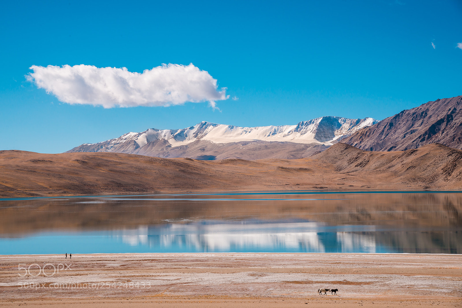 Nikon D600 sample photo. Leh17_1 photography