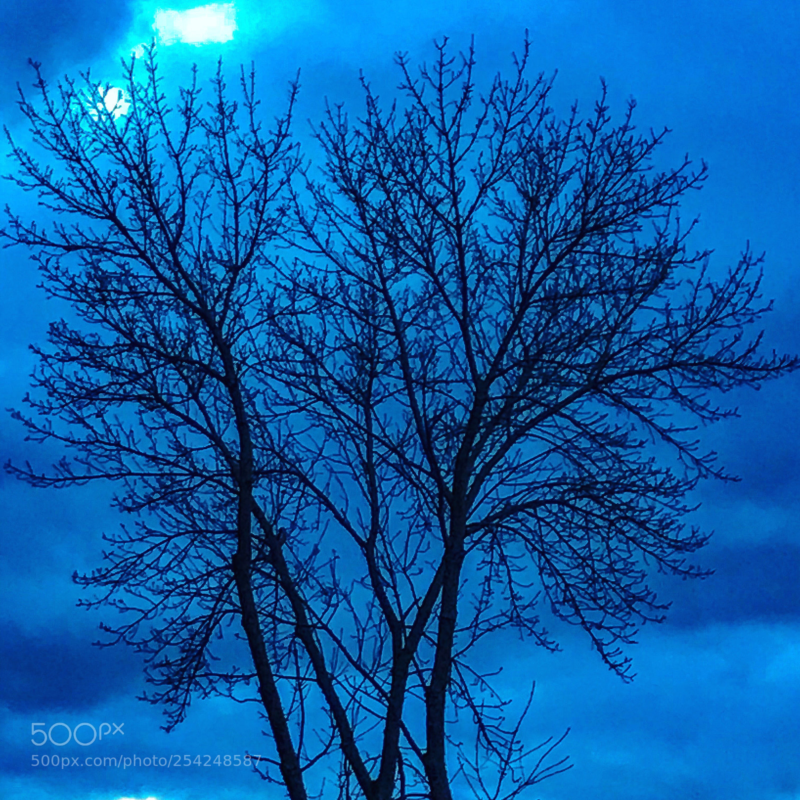 Apple iPhone 7 sample photo. Untitled photography
