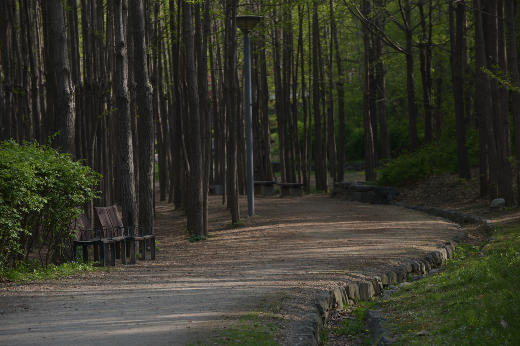 Nikon D810 sample photo