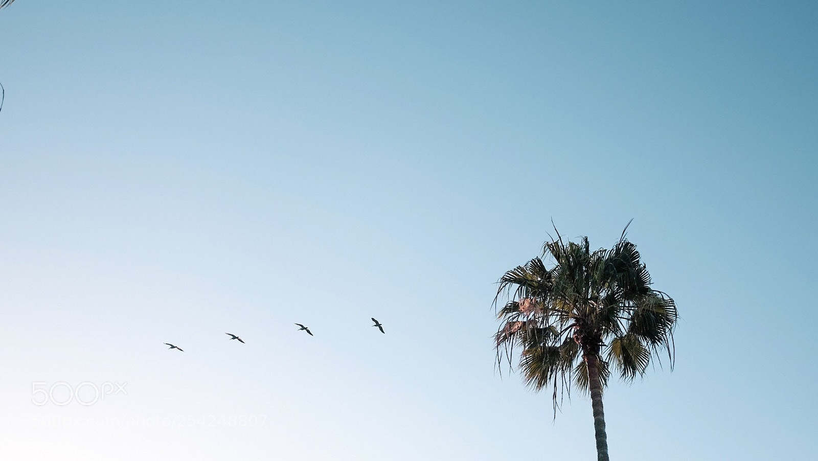 Fujifilm X-T1 sample photo. Untitled photography
