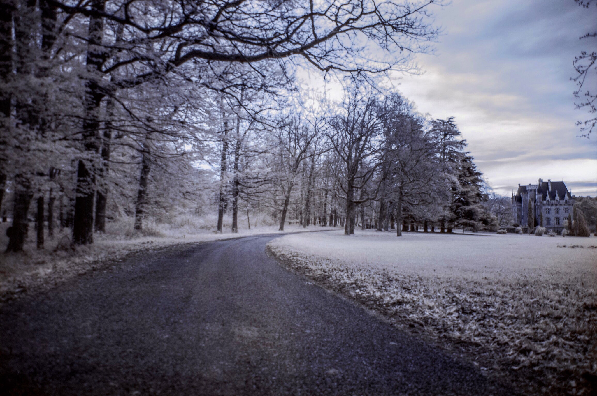 Pentax K-7 sample photo. Château infrared  photography