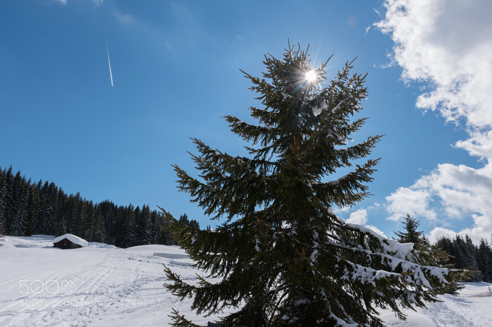 Nikon D5600 sample photo. Les glières i photography