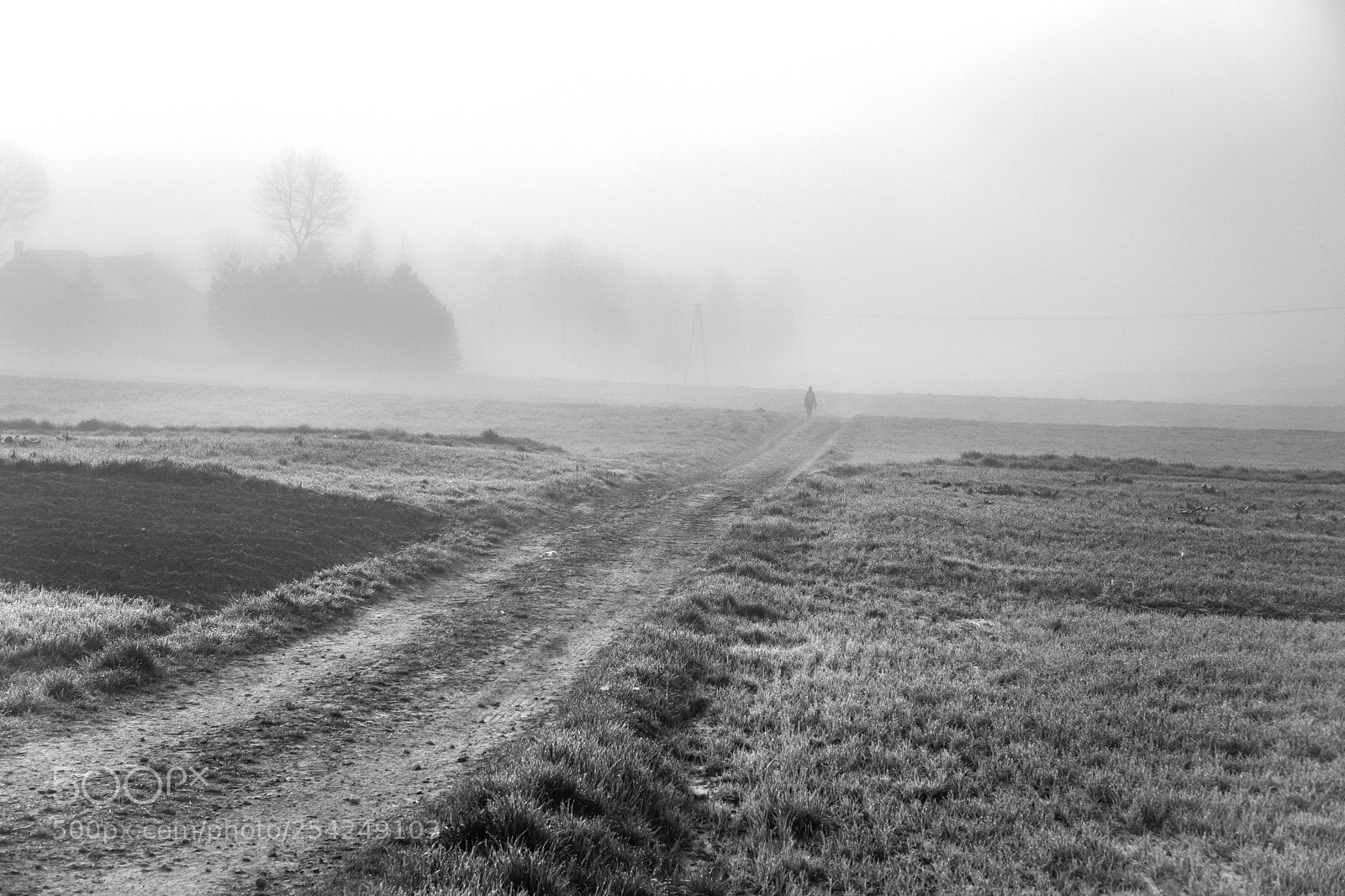 Sony a6000 sample photo. Alone photography
