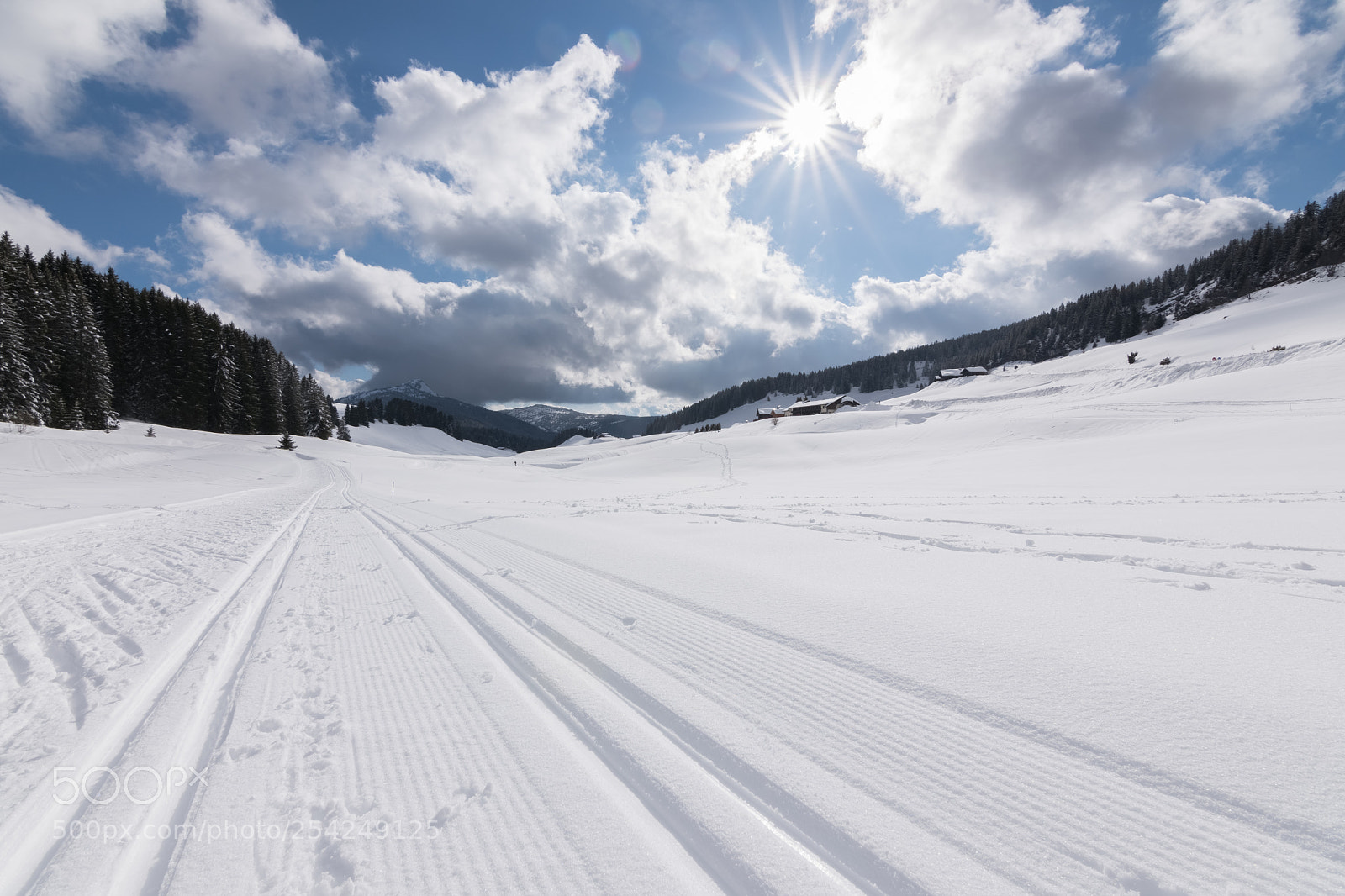 Nikon D5600 sample photo. Les glières ii photography