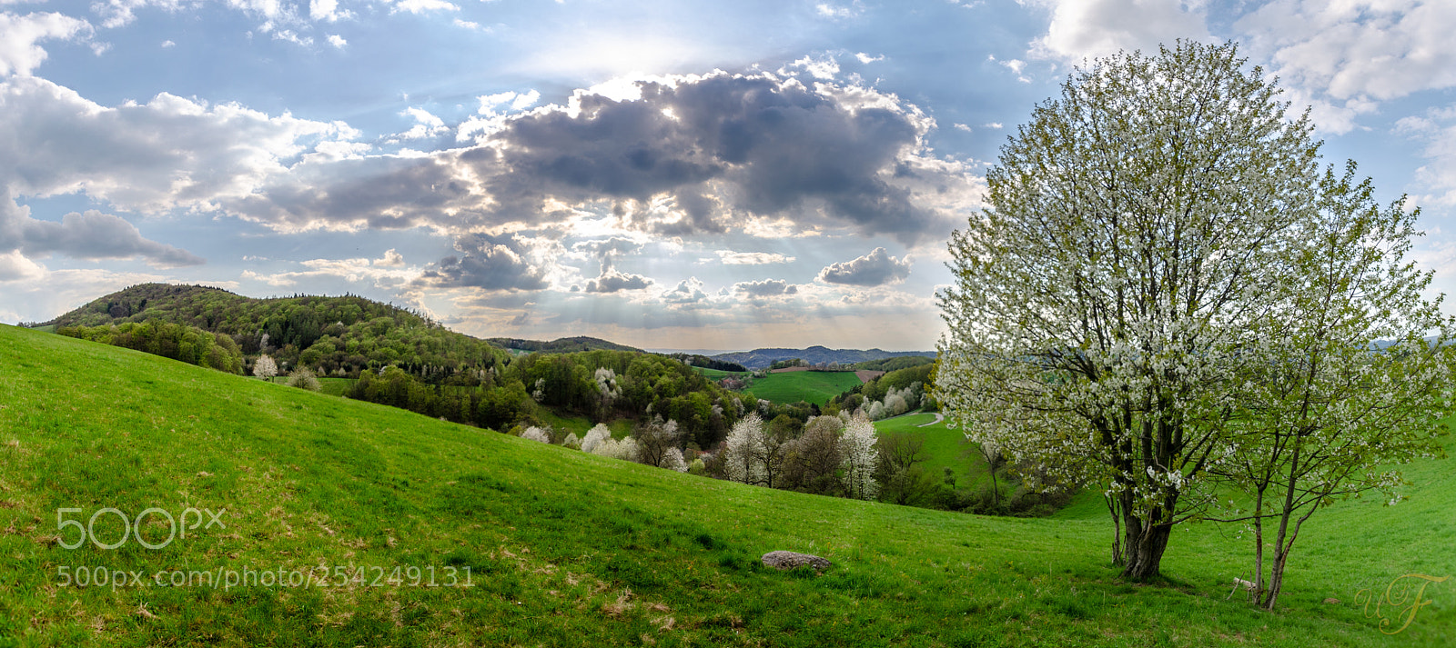 Nikon D5100 sample photo. Der odenwald erblüht ! photography