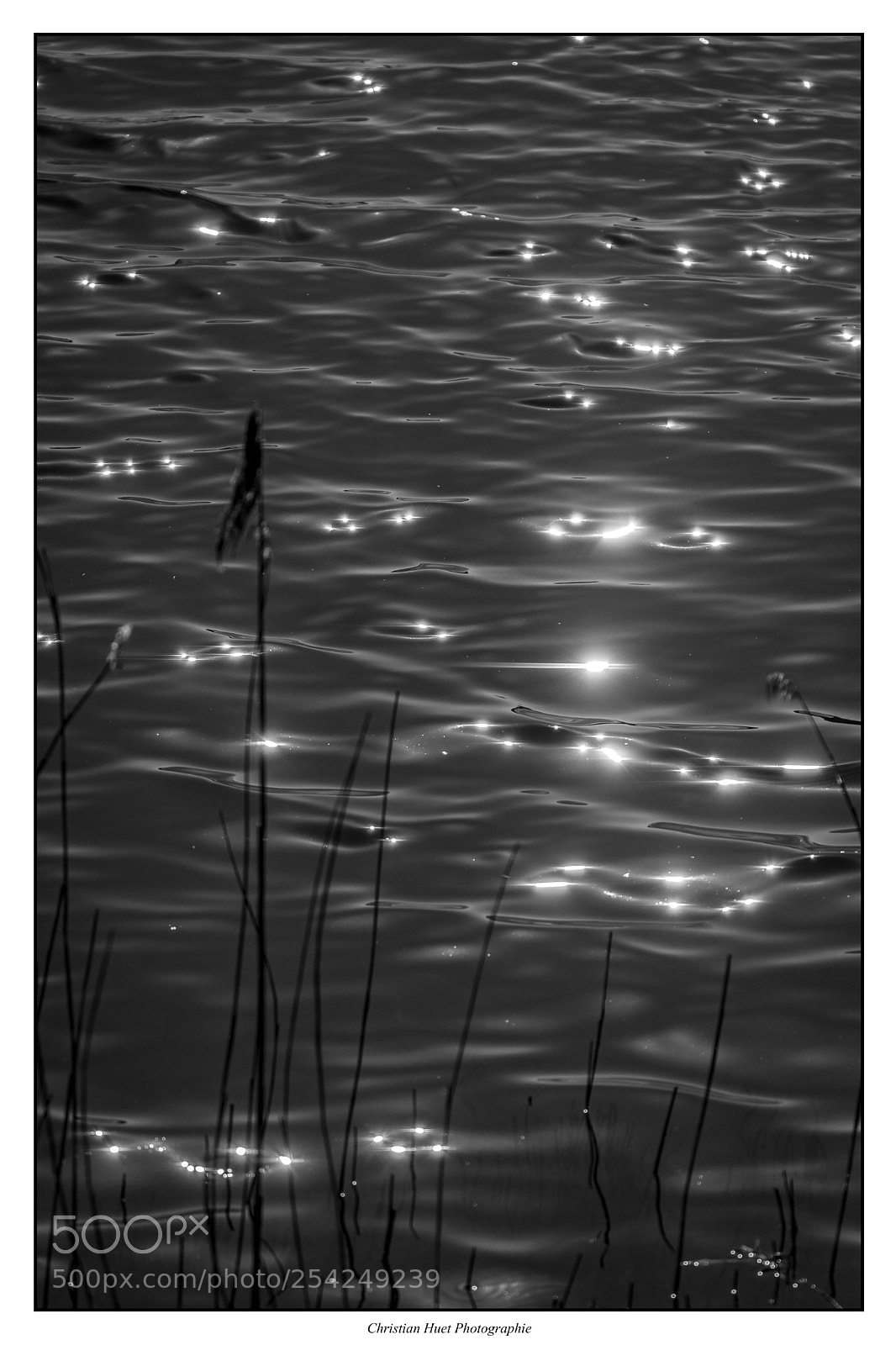 Nikon D7100 sample photo. Etoiles d'eau photography