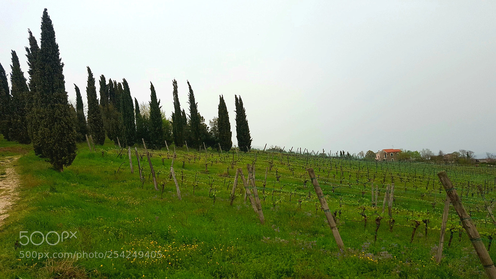 Samsung Galaxy S6 sample photo. Countryside photography