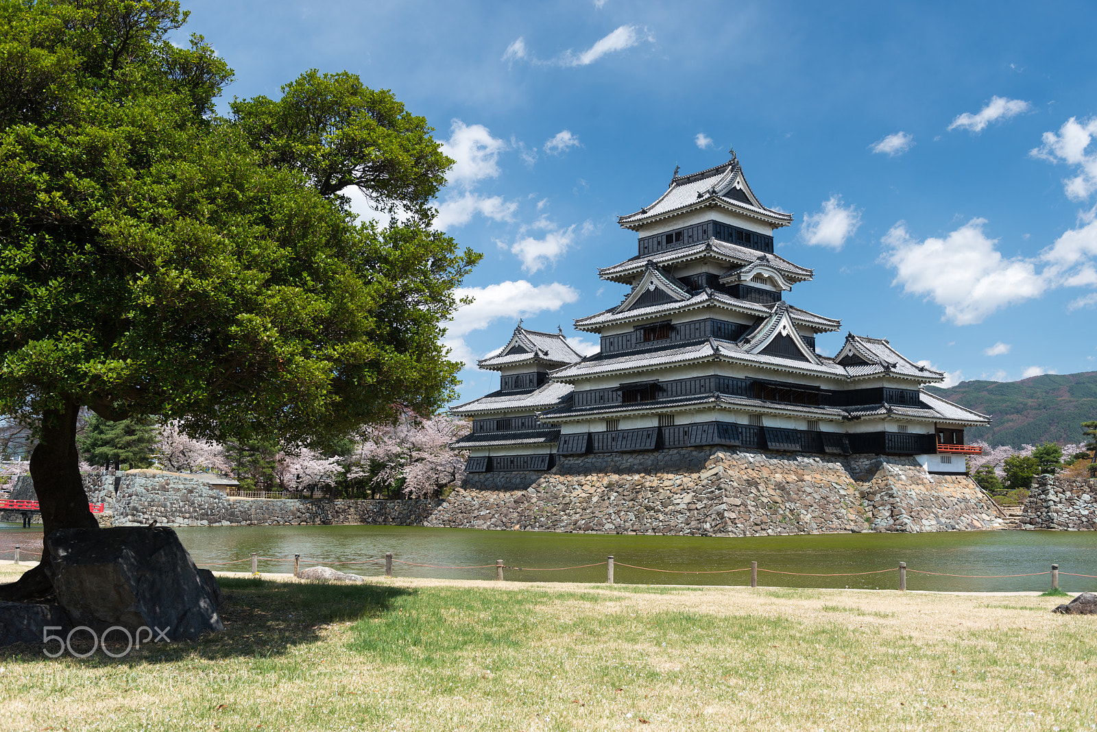 Nikon D800 sample photo. Matsumoto castle photography