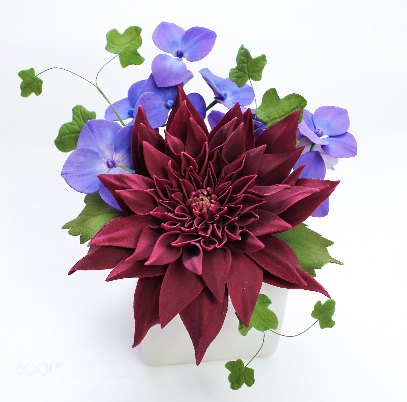 Canon EOS 60D sample photo. A flower of glory photography