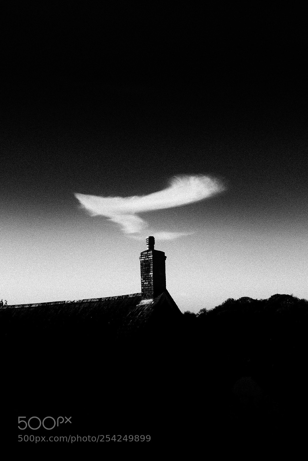 Leica M (Typ 240) sample photo. Accending photography