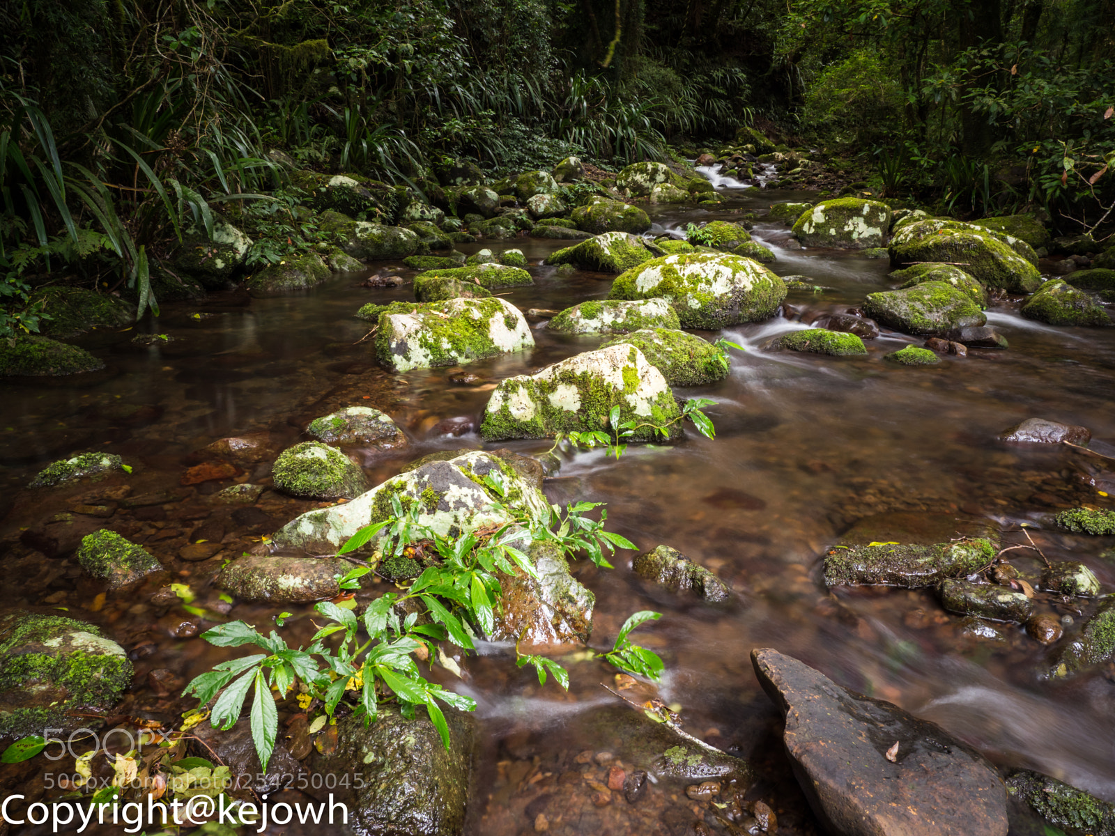 Olympus OM-D E-M1 Mark II sample photo. Stepping stones across the photography