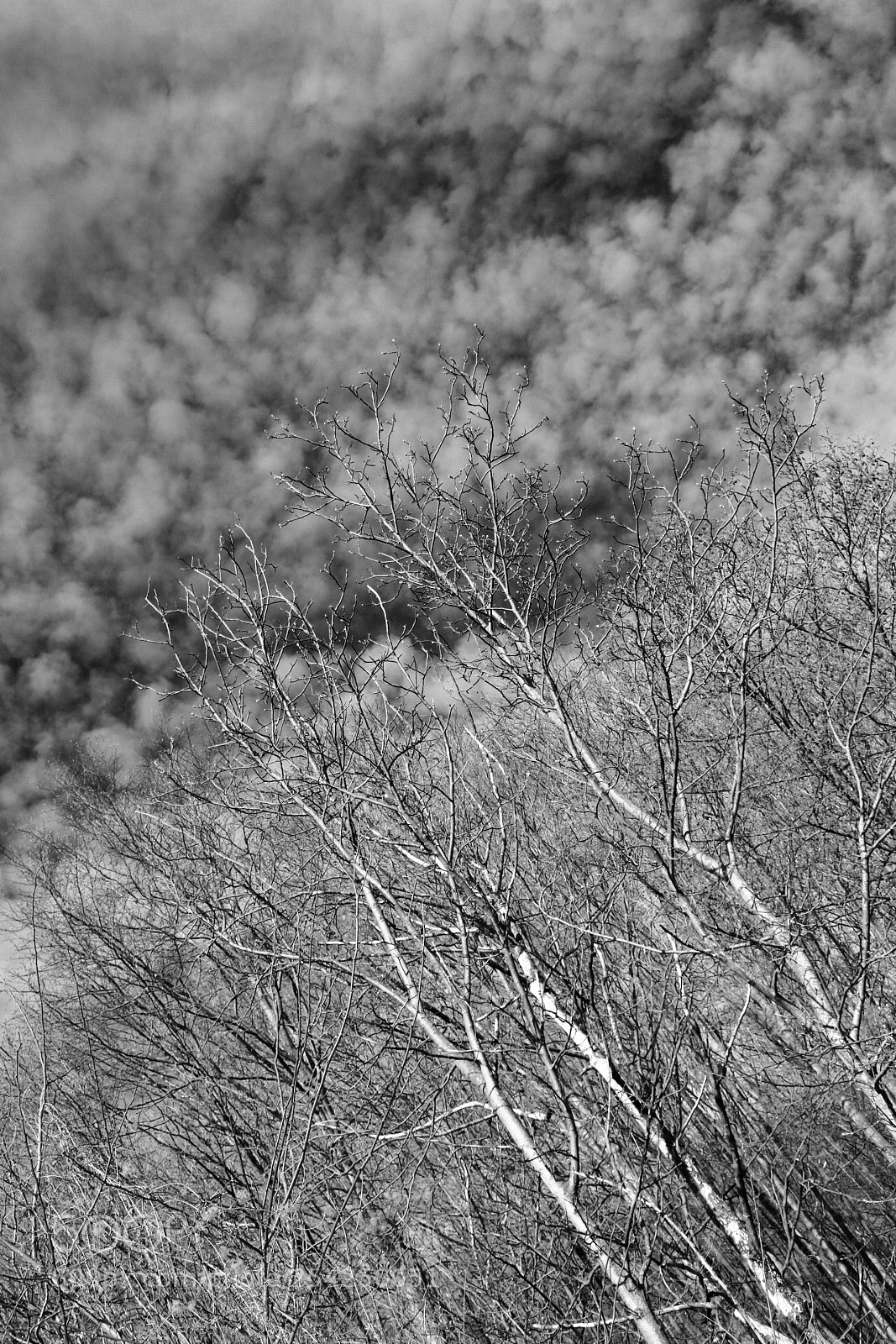 Canon EOS 750D (EOS Rebel T6i / EOS Kiss X8i) sample photo. Untitled photography