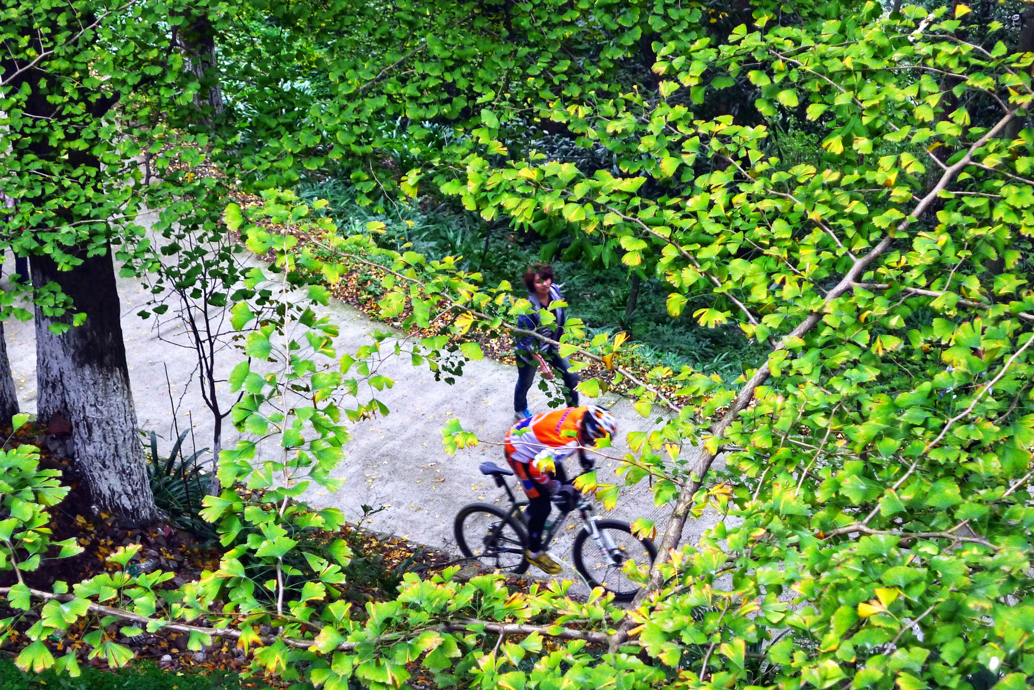 Panasonic Lumix DMC-LX5 sample photo. Climb photography