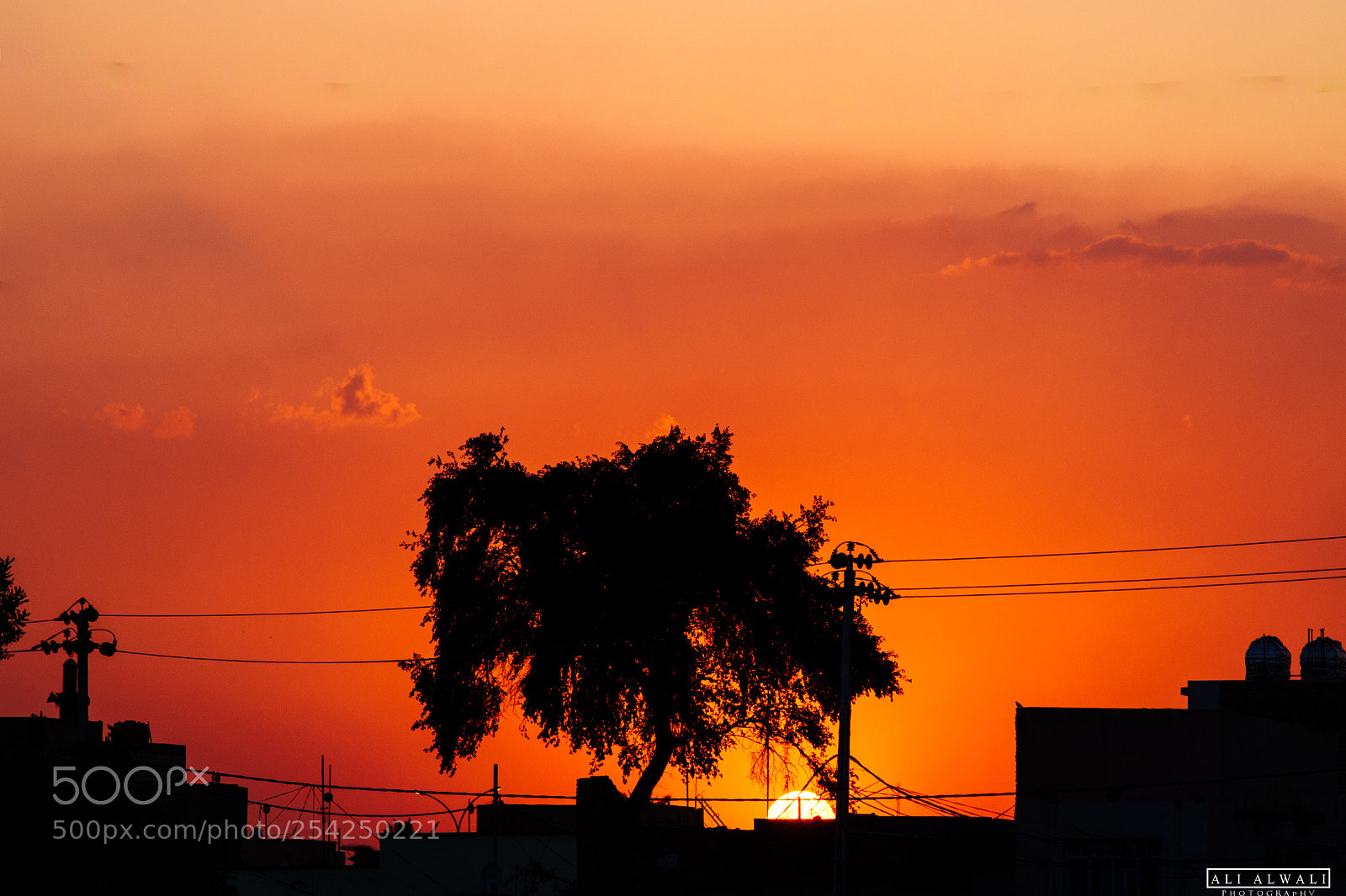 Nikon D5300 sample photo. Untitled photography