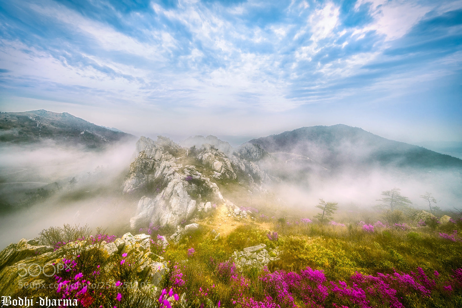Sony a7R II sample photo. 주작산 photography