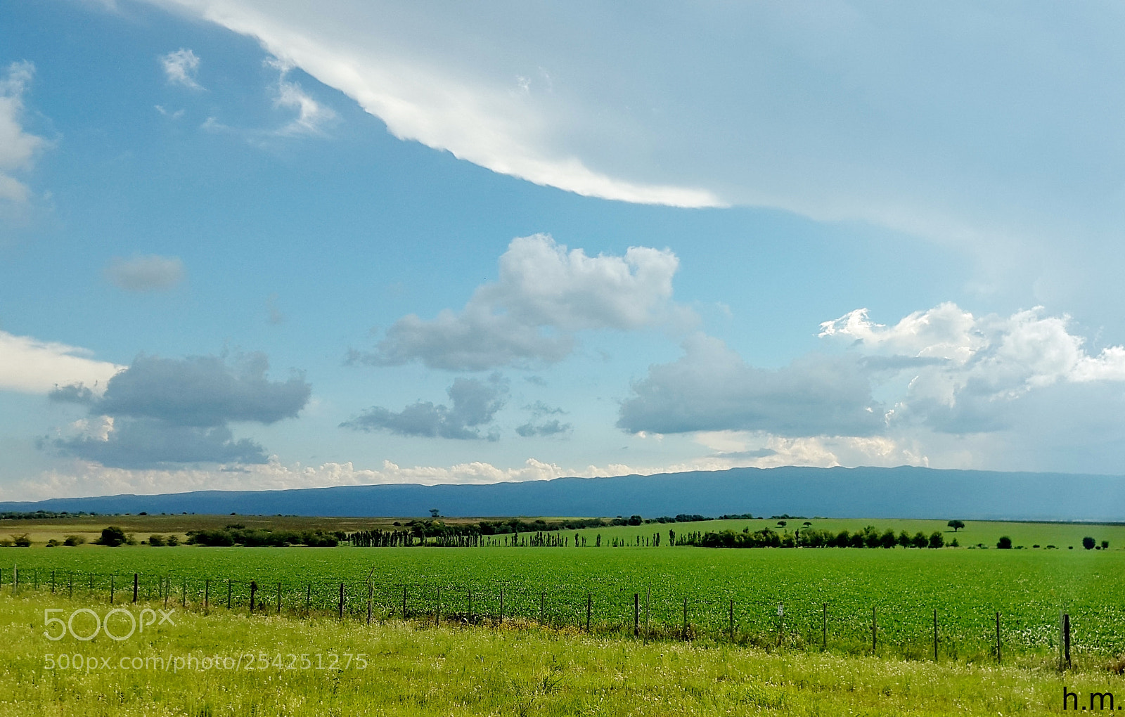 Samsung Galaxy S5 sample photo. Cdco photography