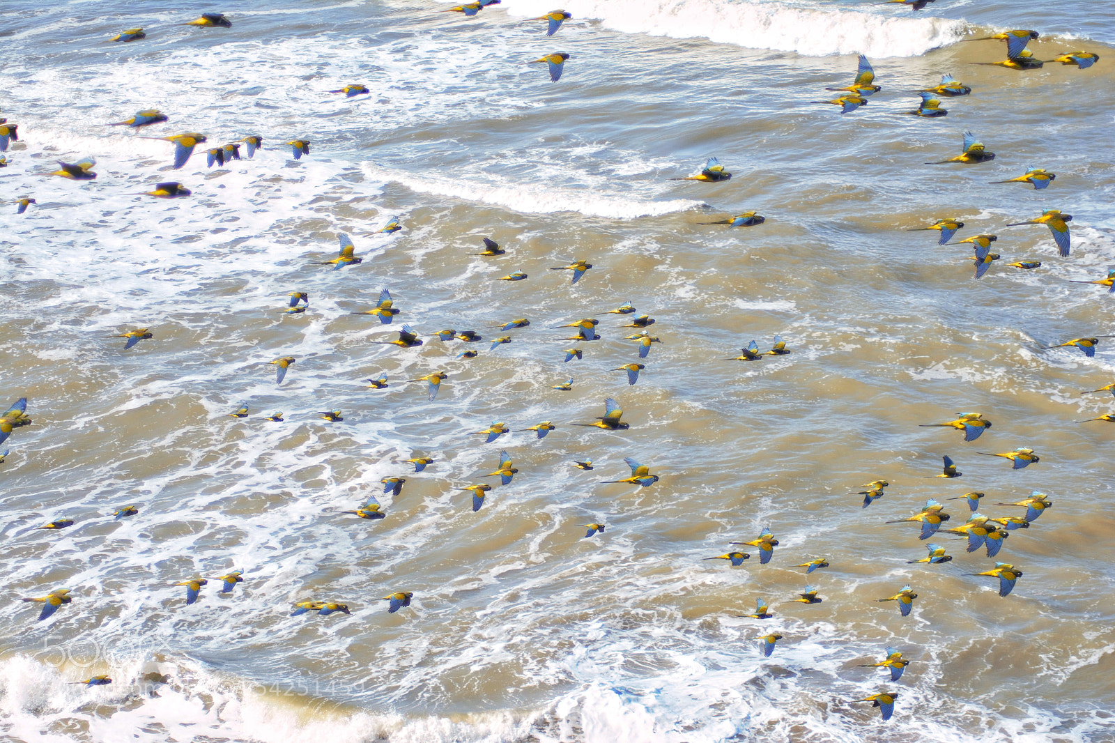 Nikon D7100 sample photo. Untitled photography