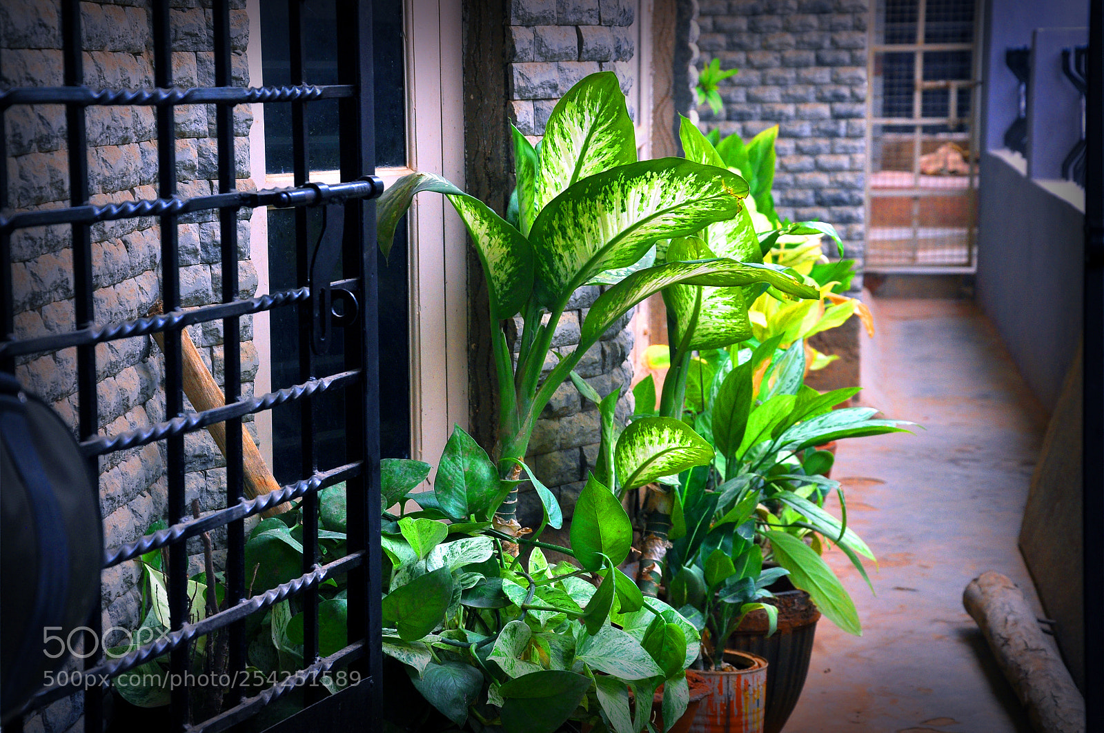 Nikon D90 sample photo. Copy photography