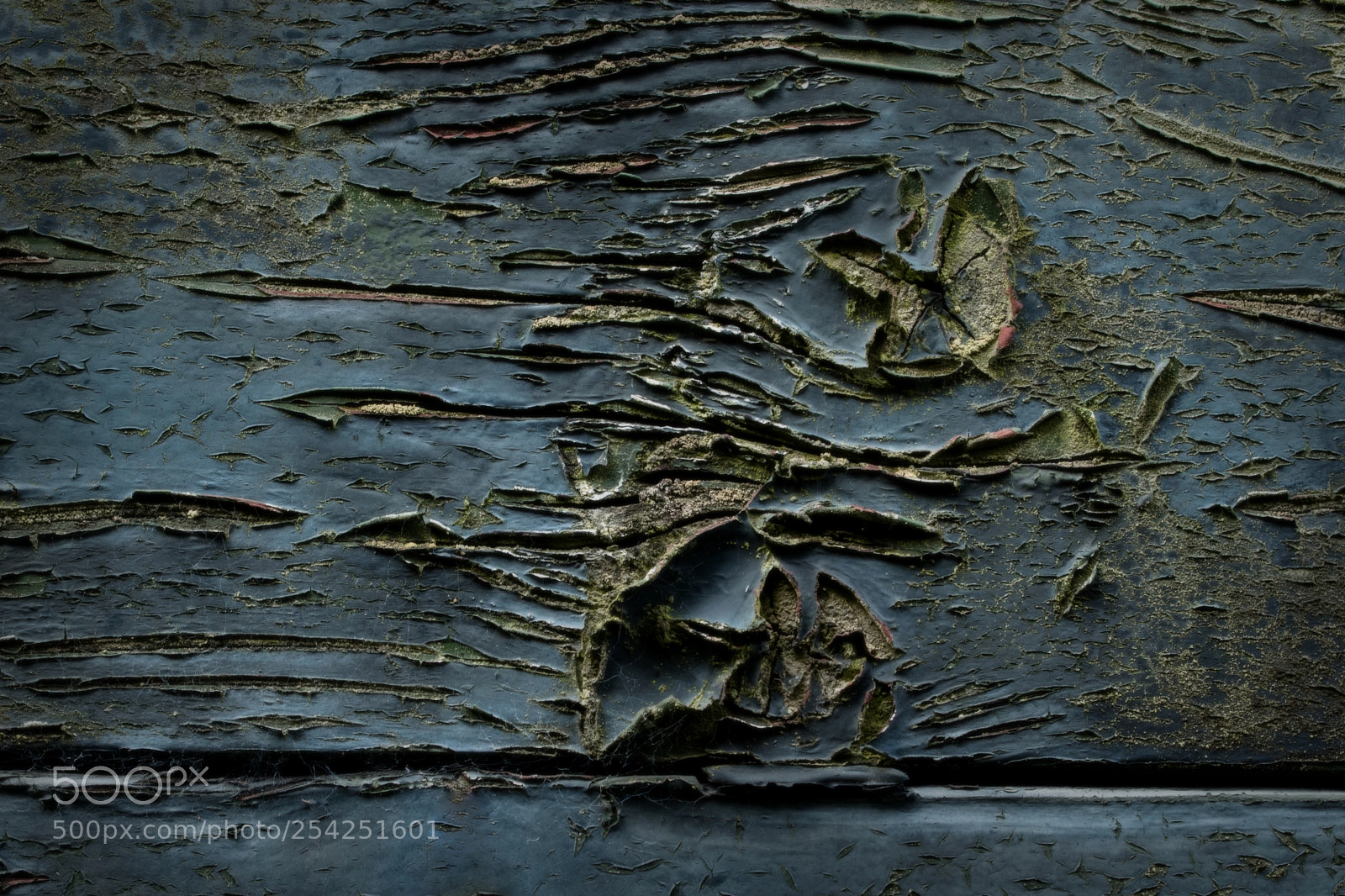 Nikon D5300 sample photo. These wounds they will photography