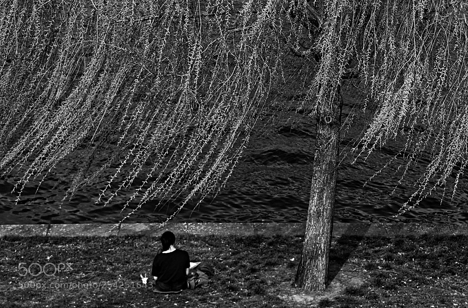 Canon EOS 500D (EOS Rebel T1i / EOS Kiss X3) sample photo. Winds of spring photography