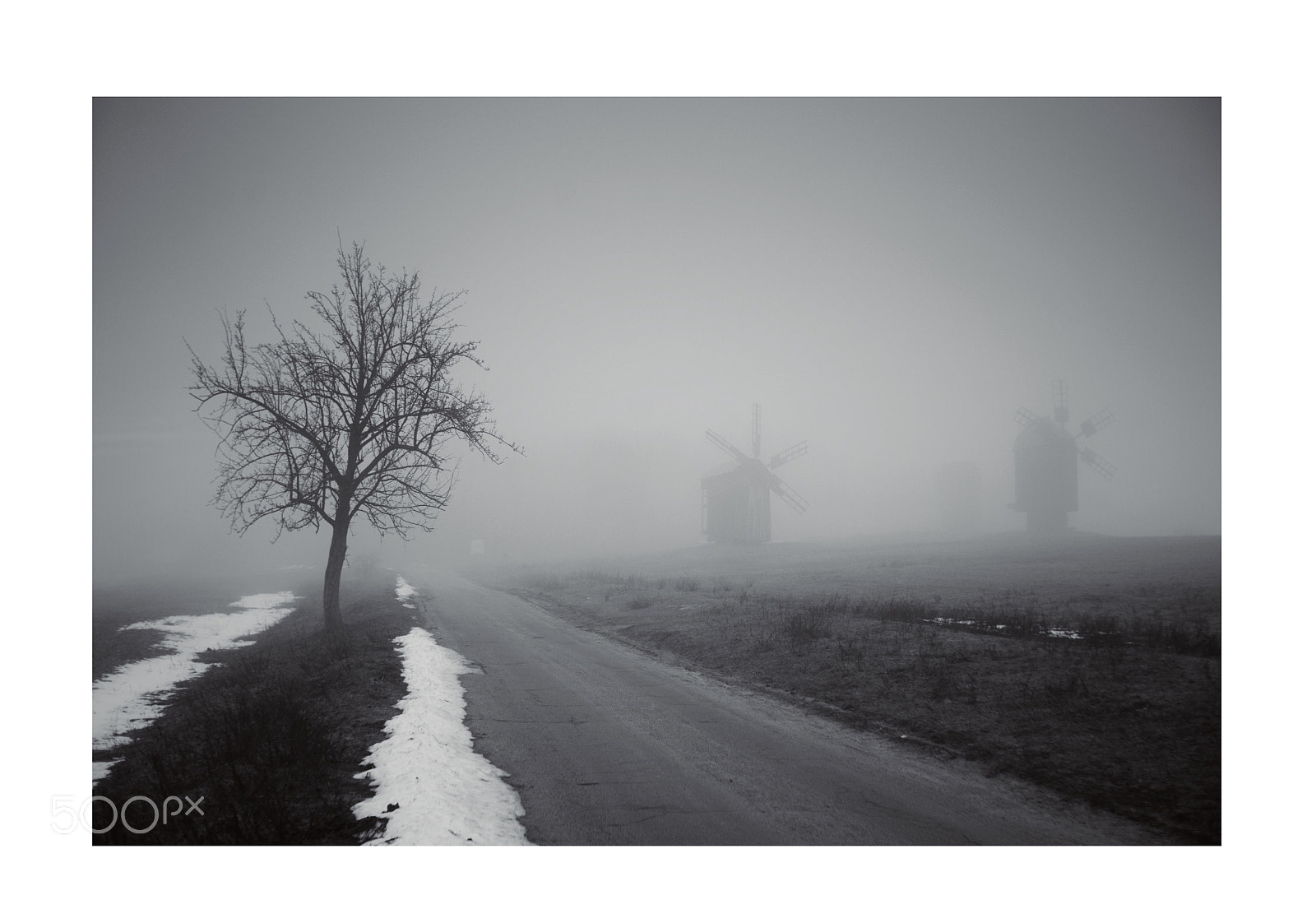 Nikon D700 sample photo. Foggy windmills.  photography