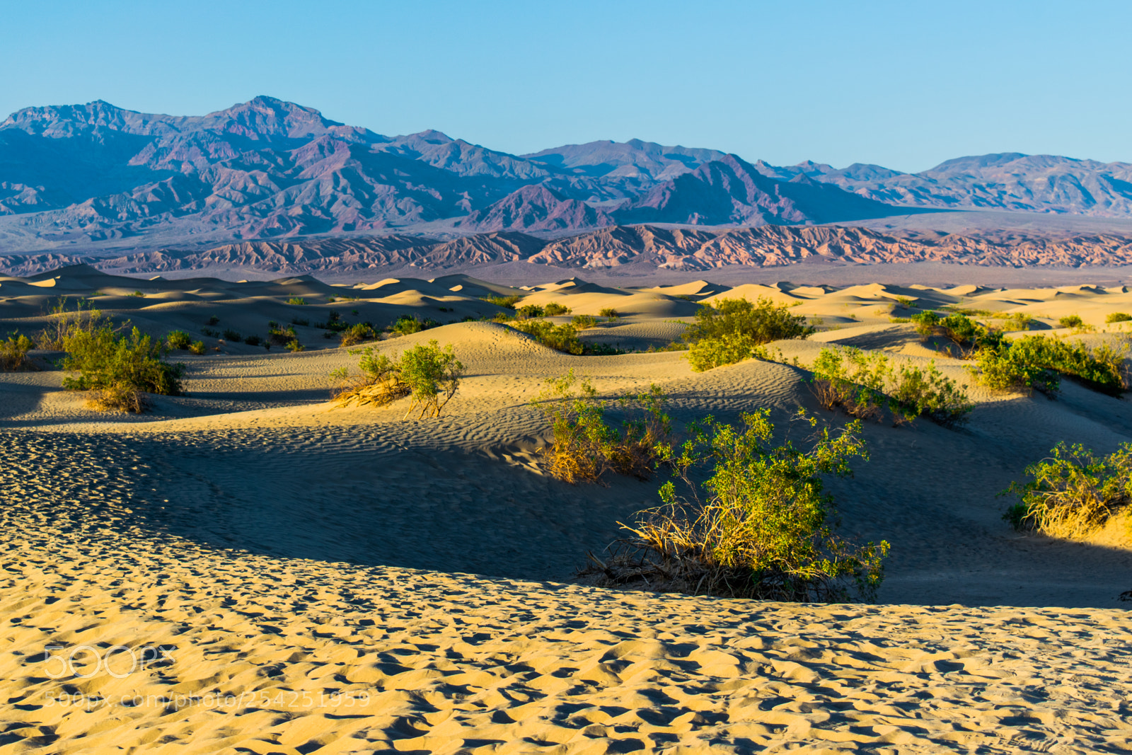 Nikon D3300 sample photo. Death valley & yosemite np photography