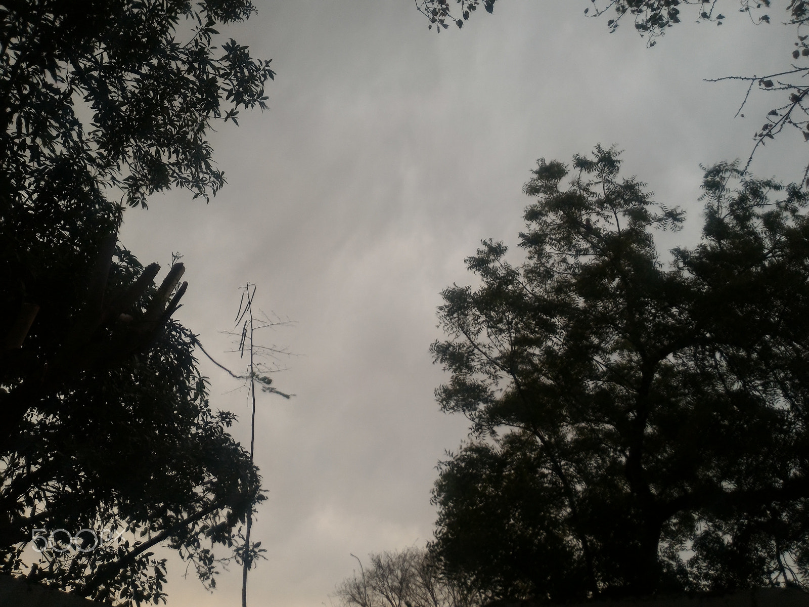 ASUS ZenFone 2 (ZE551ML) sample photo. Jpeg photography