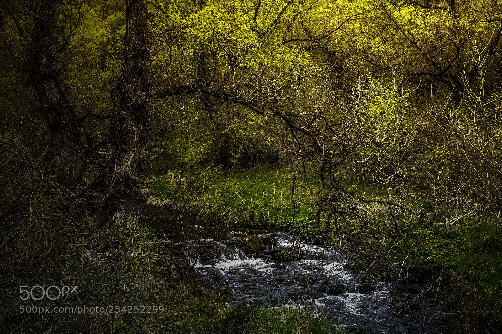 Nikon D3200 sample photo. Landscape photography